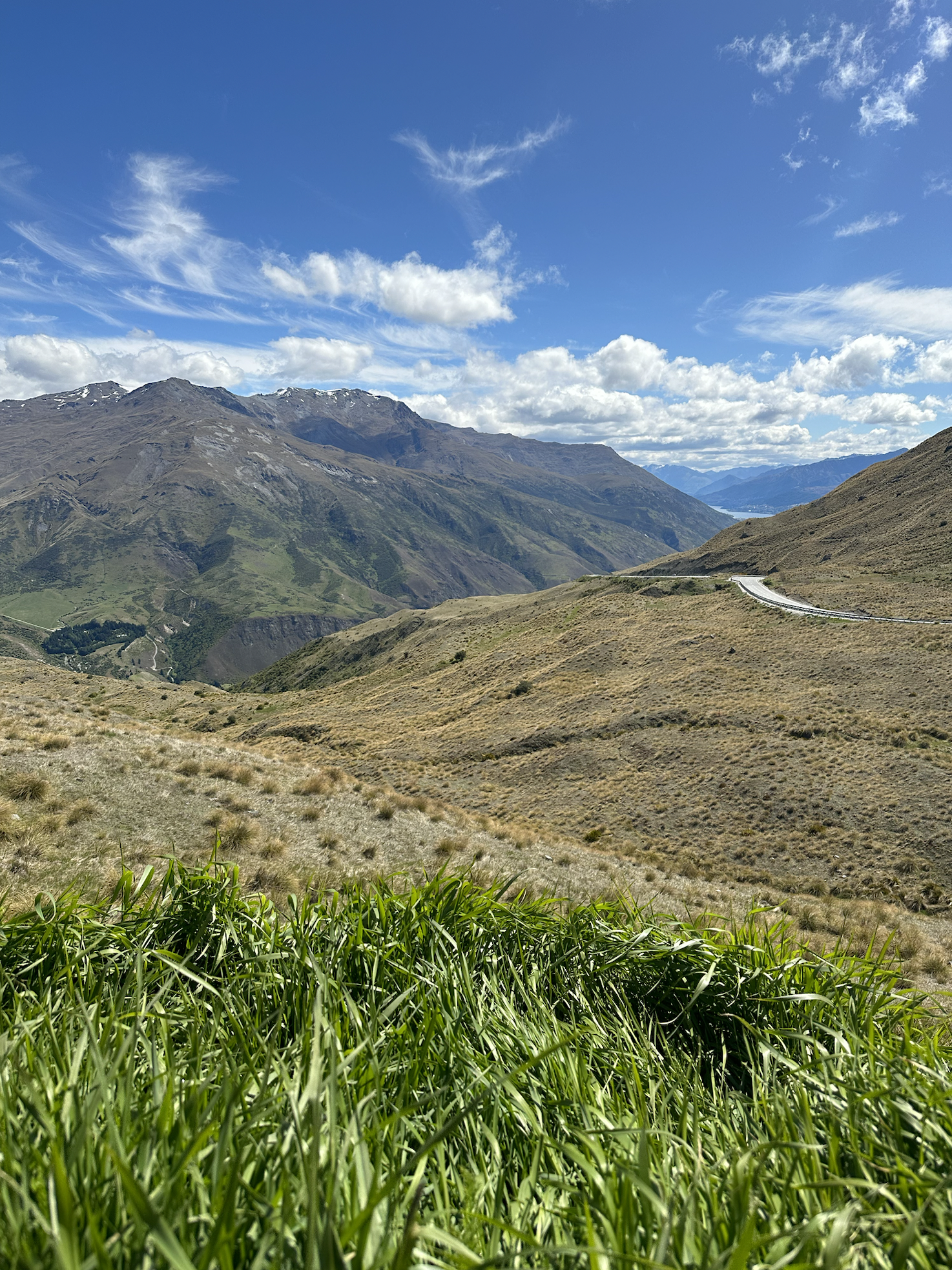 Screen Shot 2022-12-24 at 3.13.38 PM.png