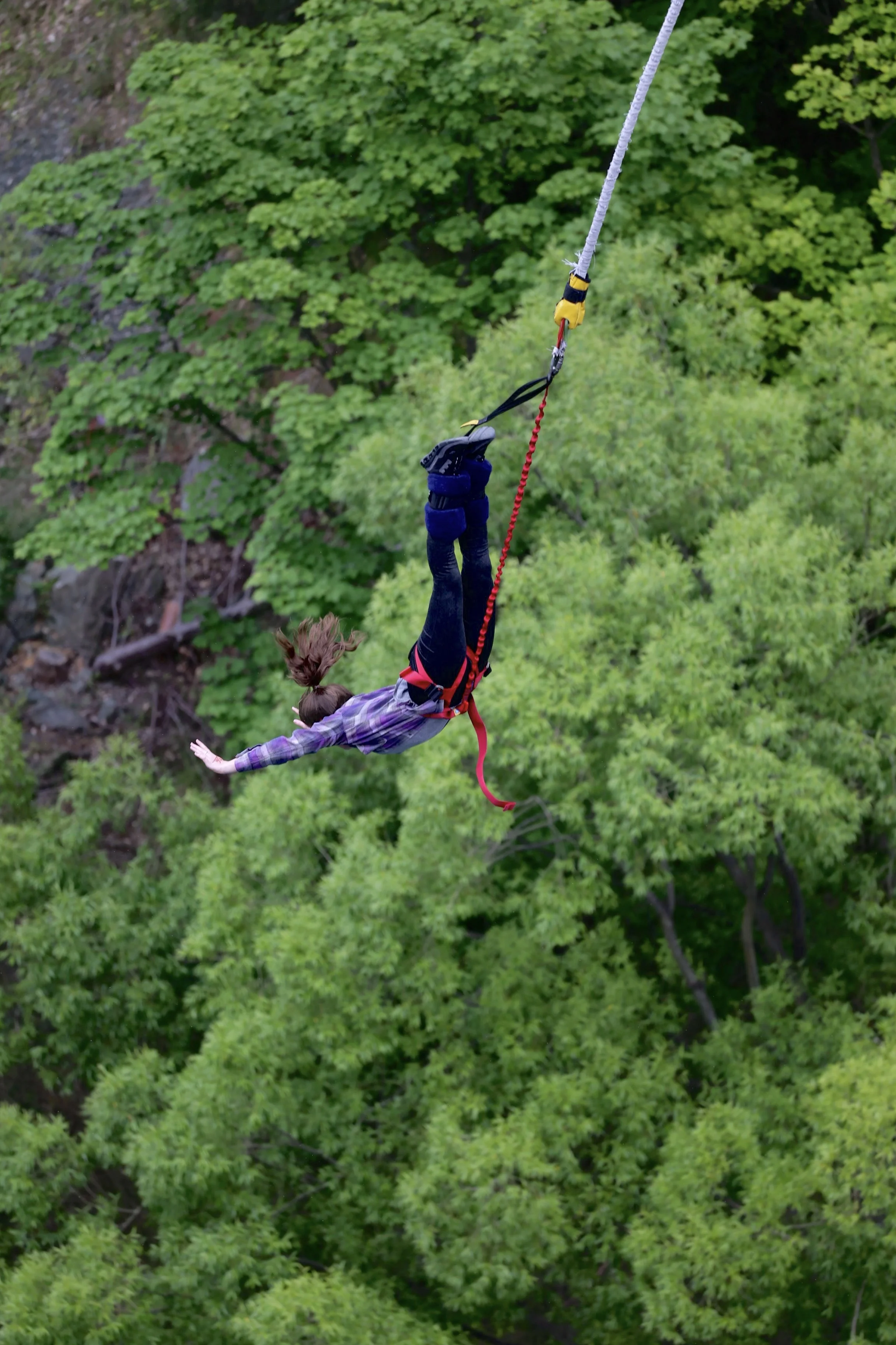 AJH-KB-20221129-038-001-0018-Roving 2.jpg