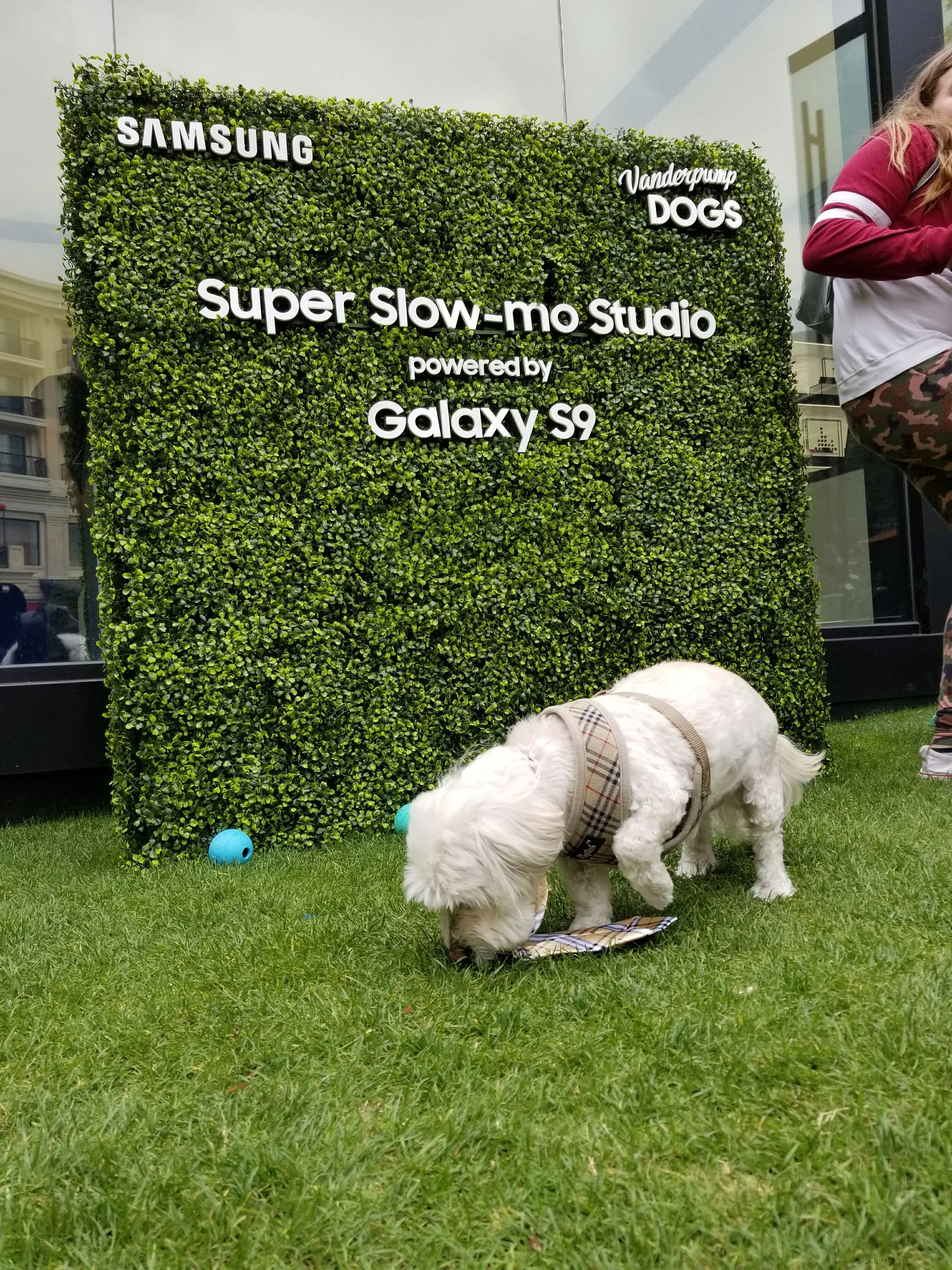 20180520_123157.jpg