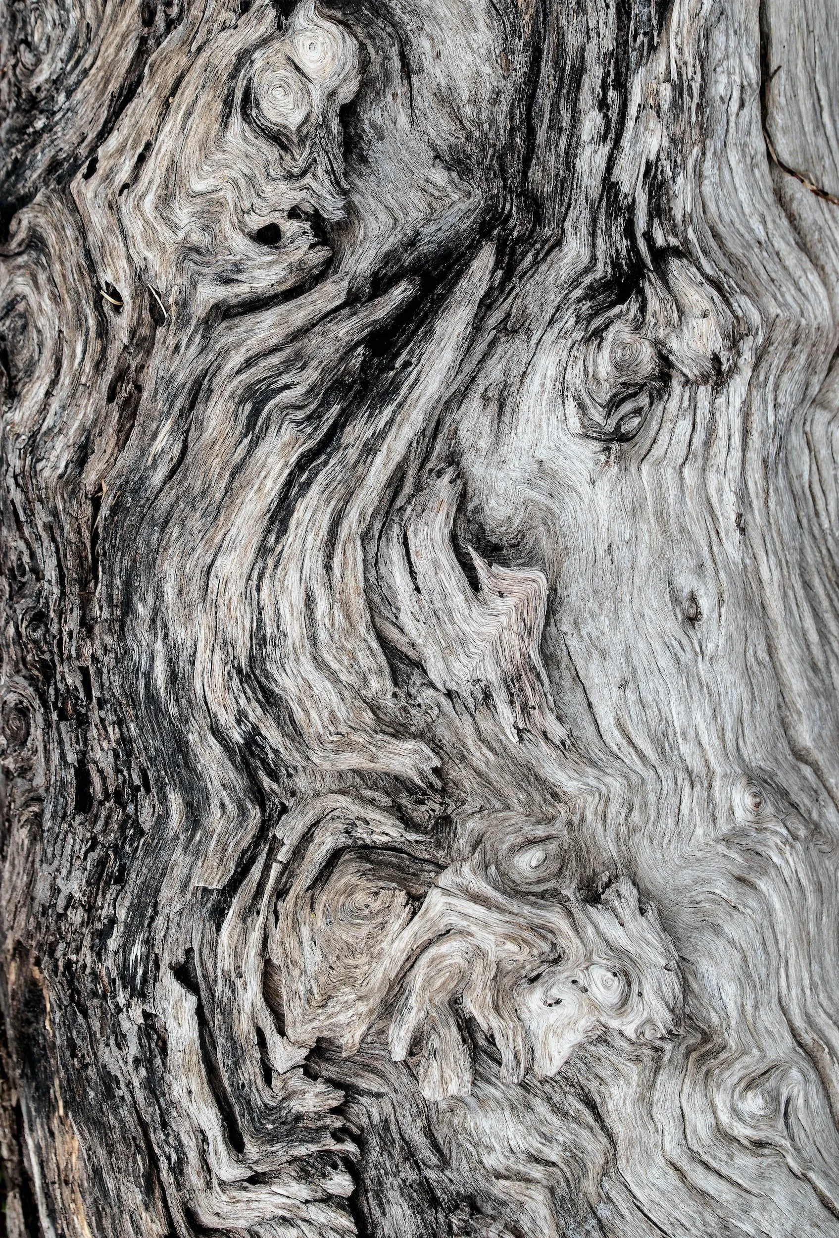 Shvat - Ending Trauma, For Now