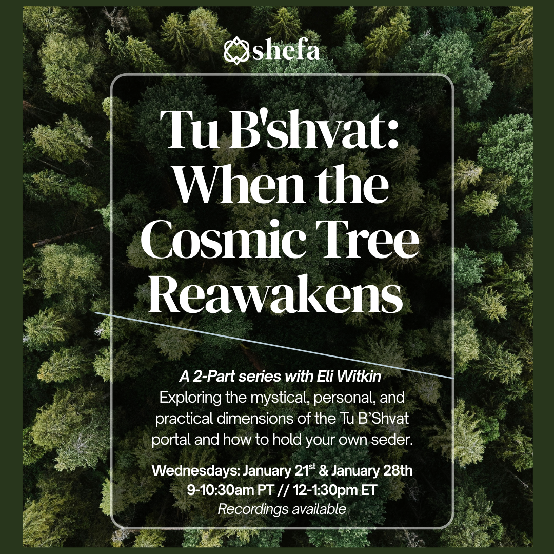 tubshvat squarespace.png