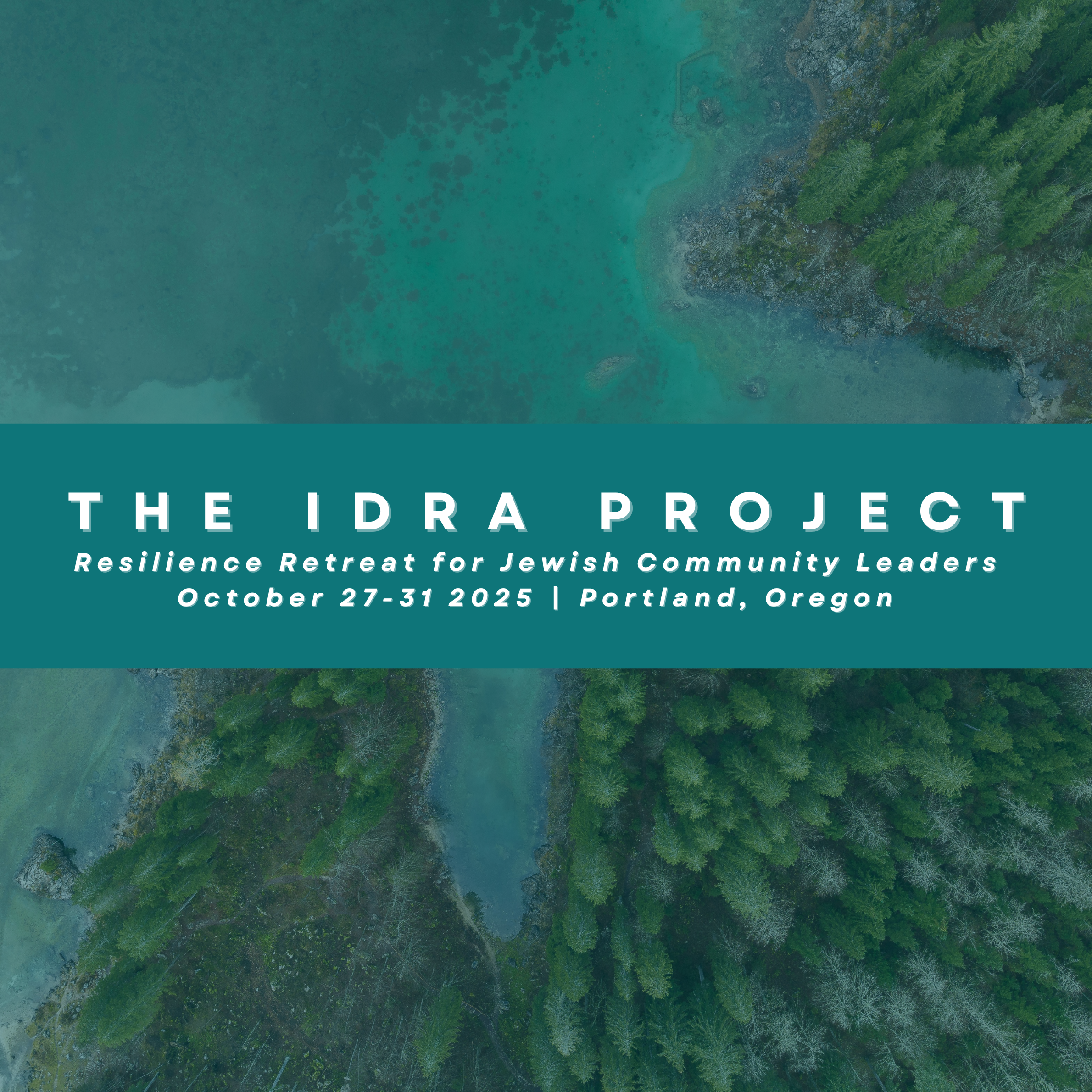 idra email banner (Square Pillow) (1).png