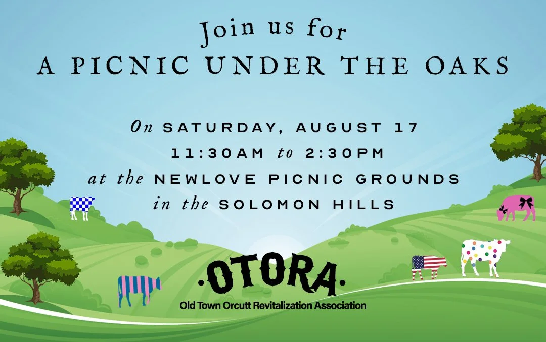 OTORA-Picnic-1080x678WebImage(7-10-24).jpg