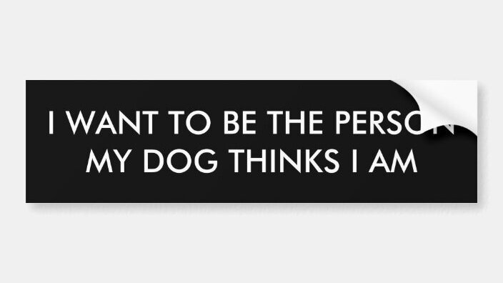 dog bumper sticker.jpg