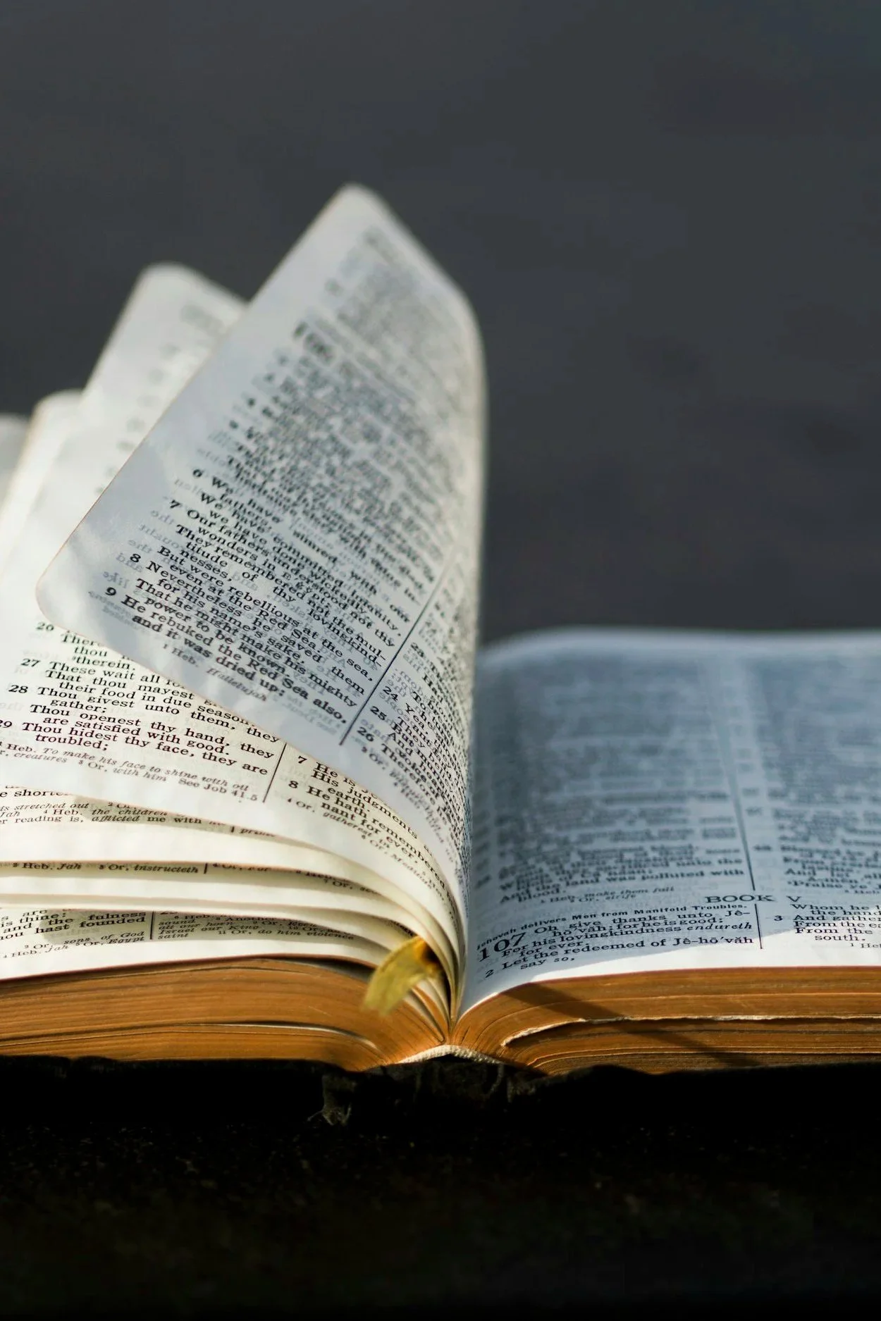 A Resource for the Season of Lent&nbsp;