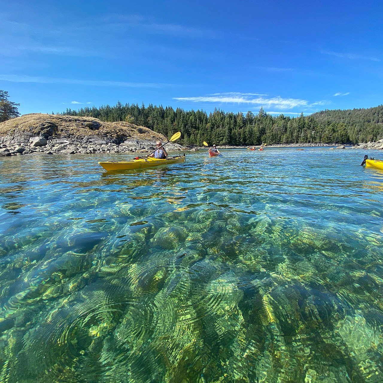 Kayaking_on_Cortes.jpg