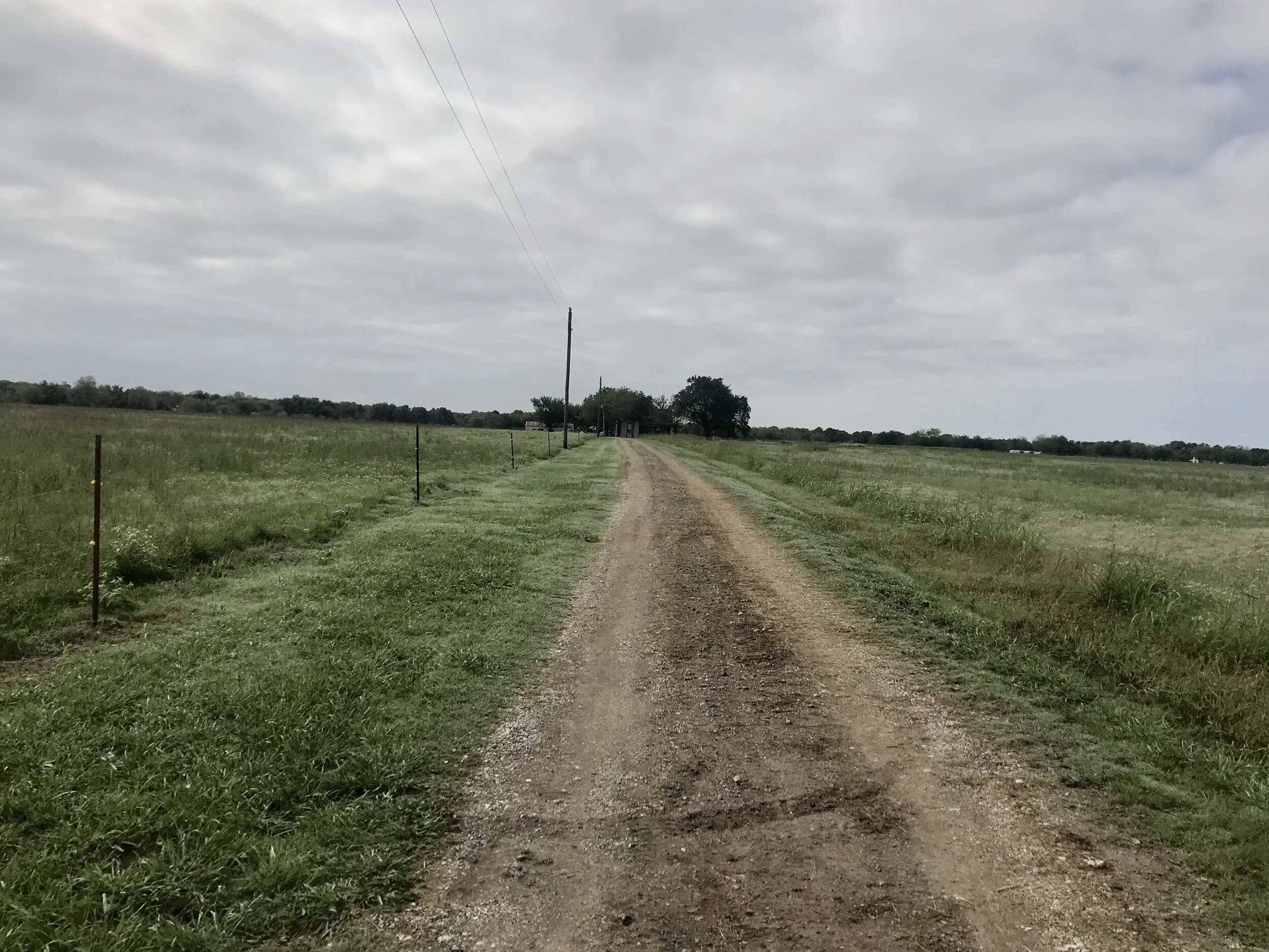About Hendrix Family Farms