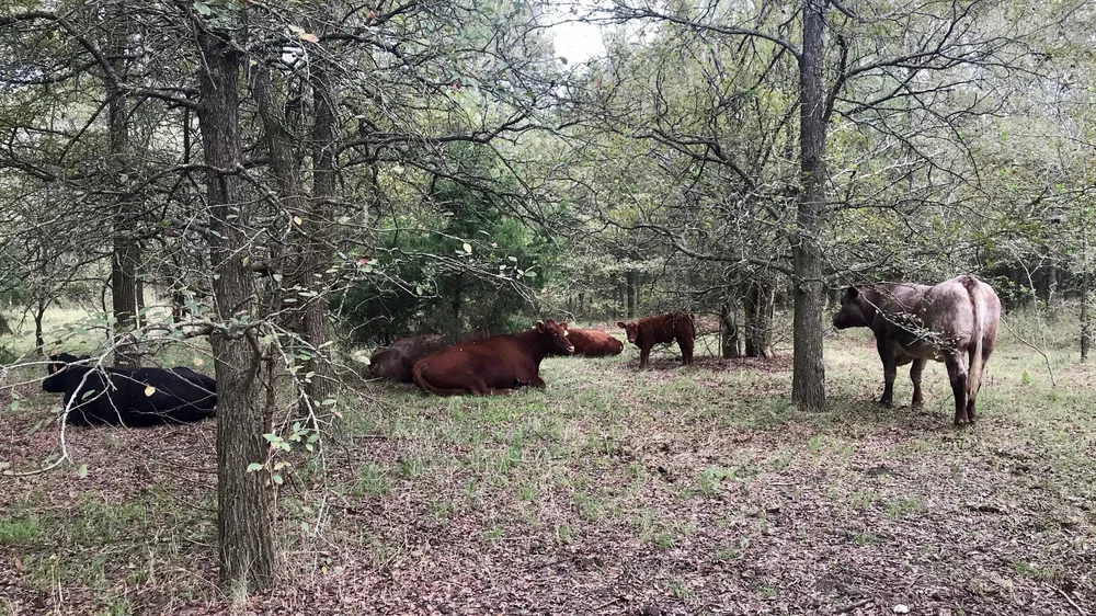 Hendrix Family Farms