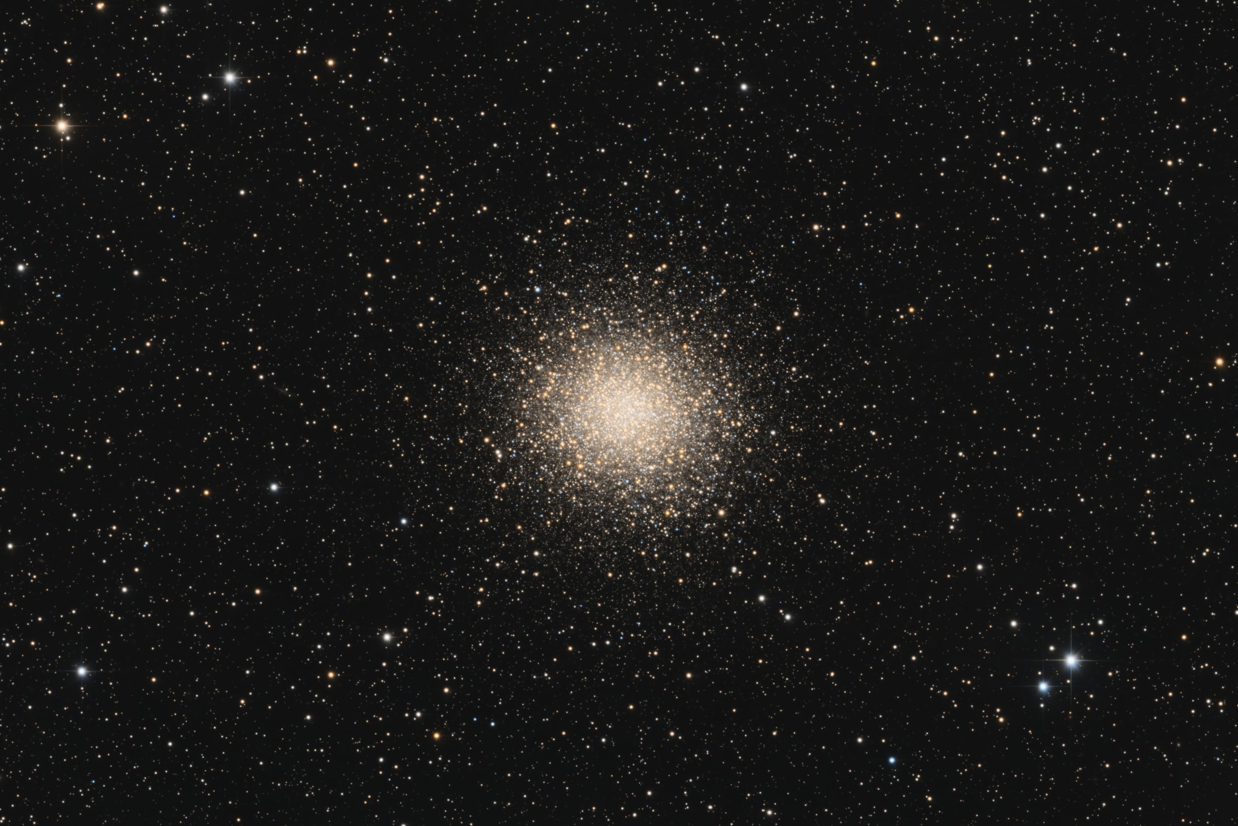 M14 - Image.jpg