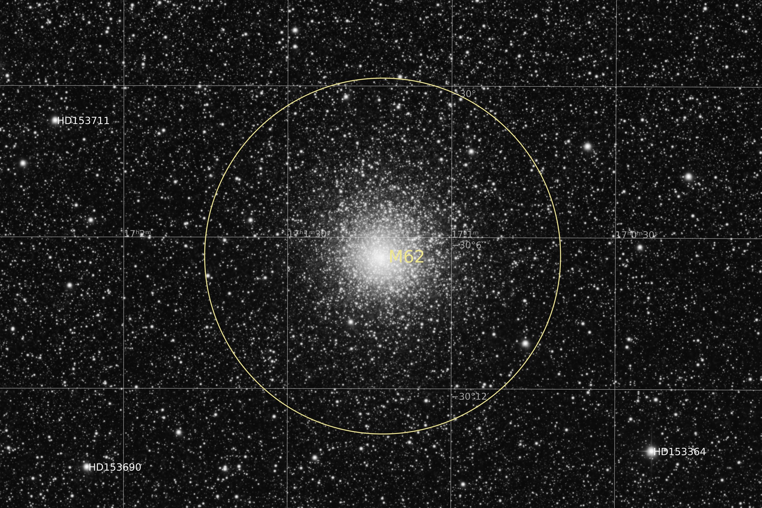 Annotated Image