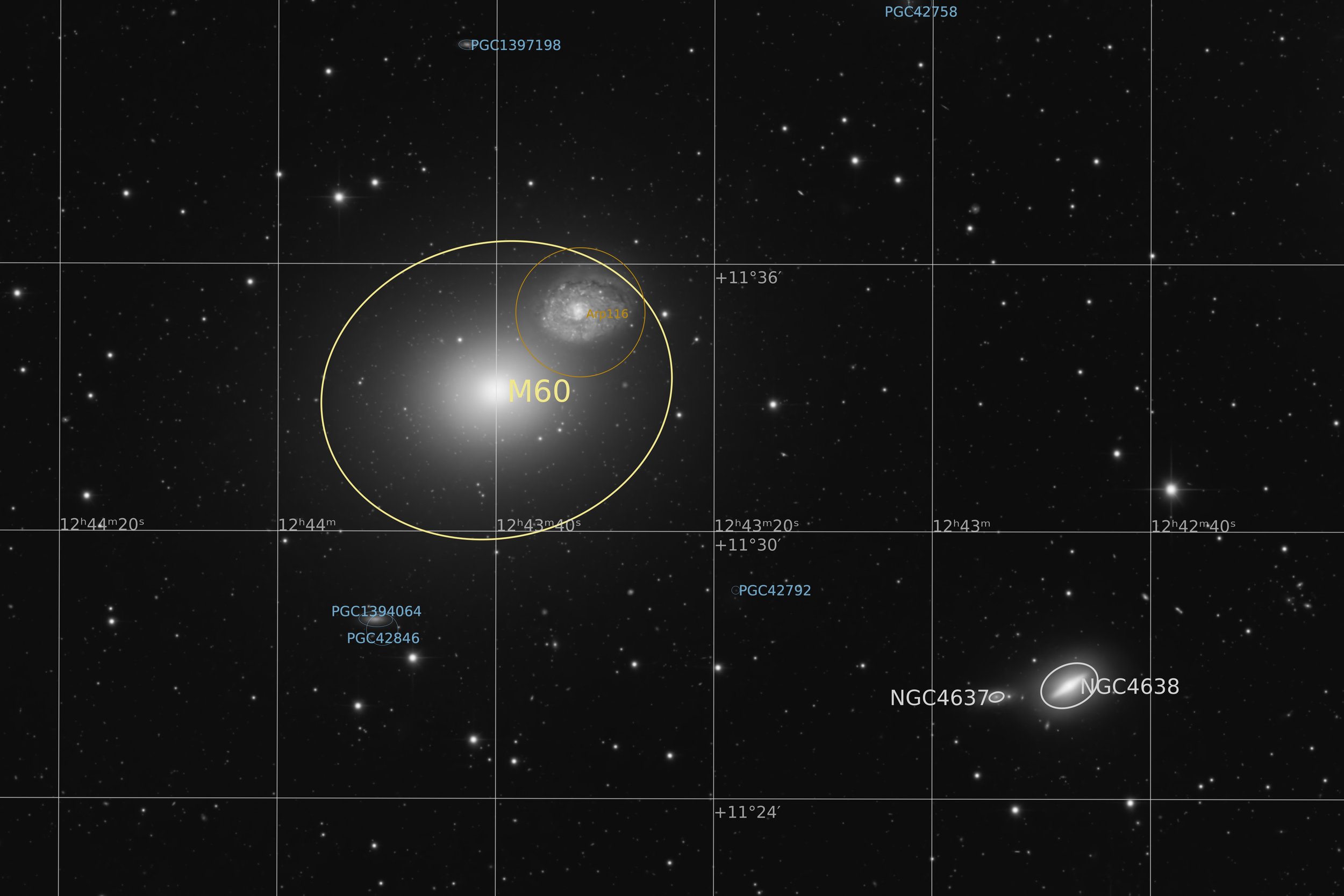 Annotated Image
