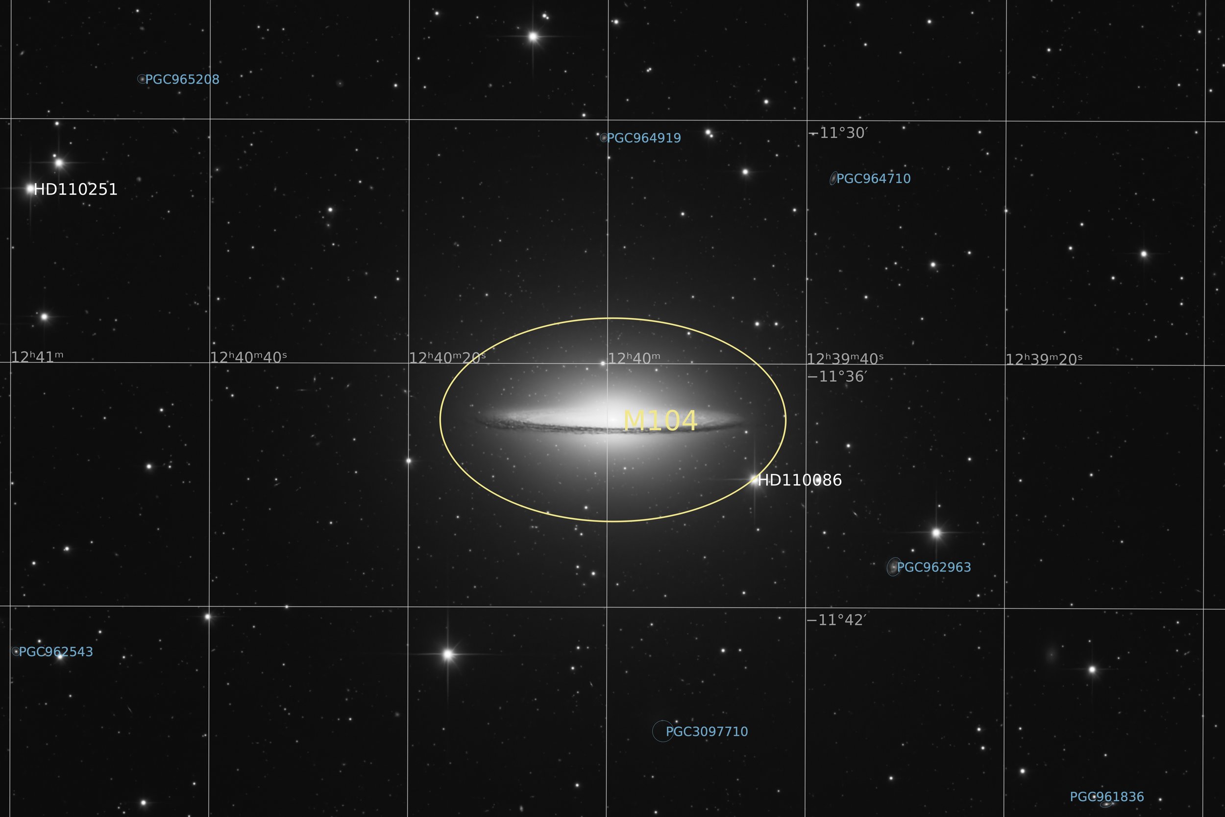 Annotated Image
