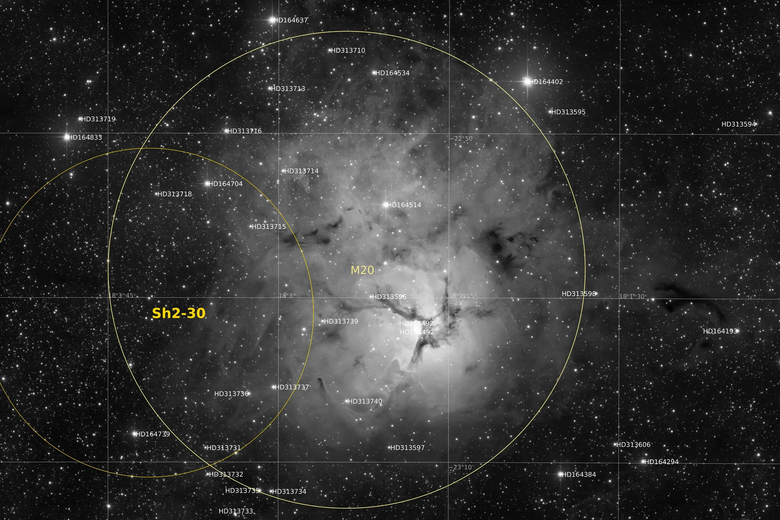 Annotated Image