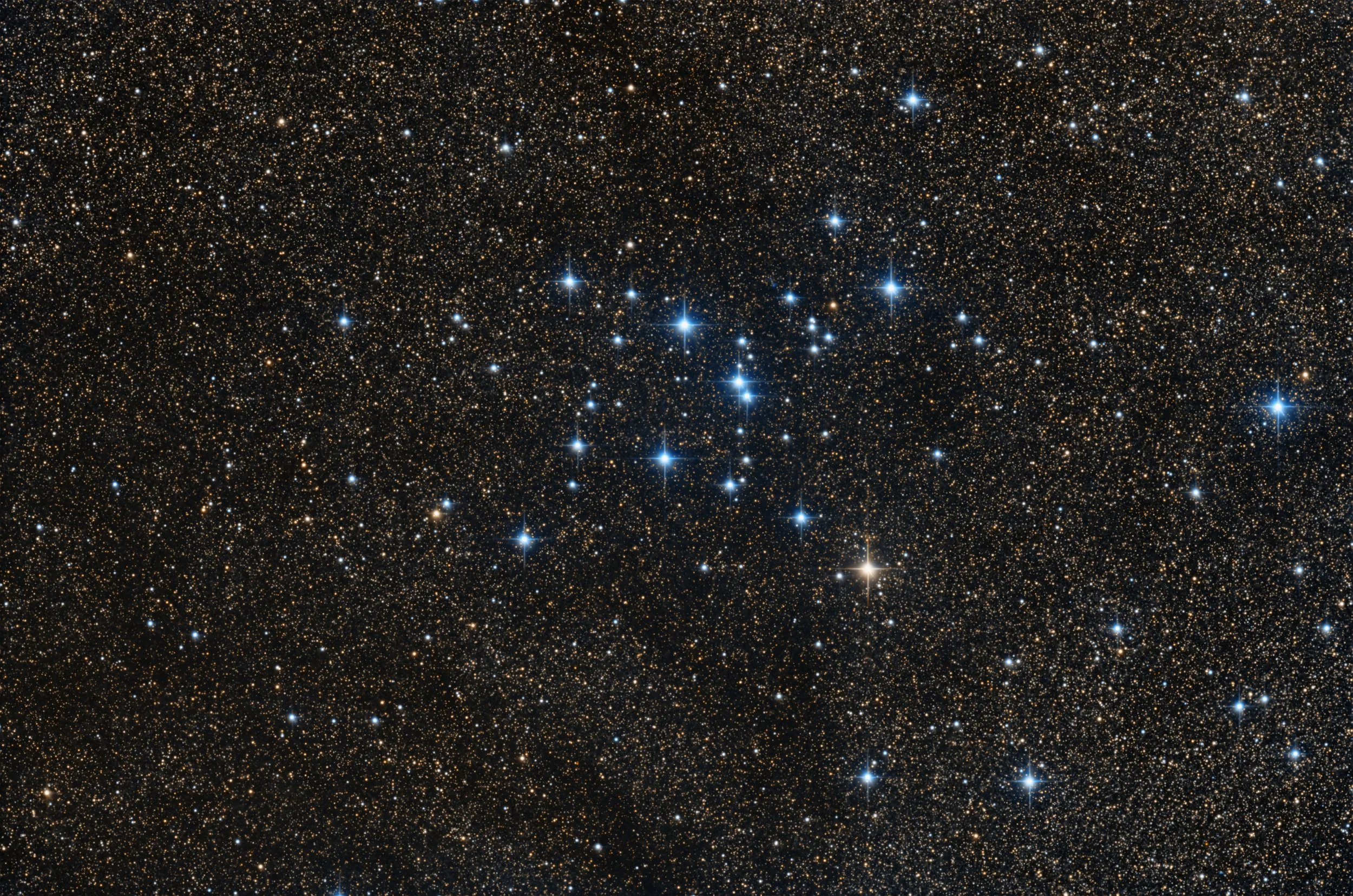 M7 - Image.jpg