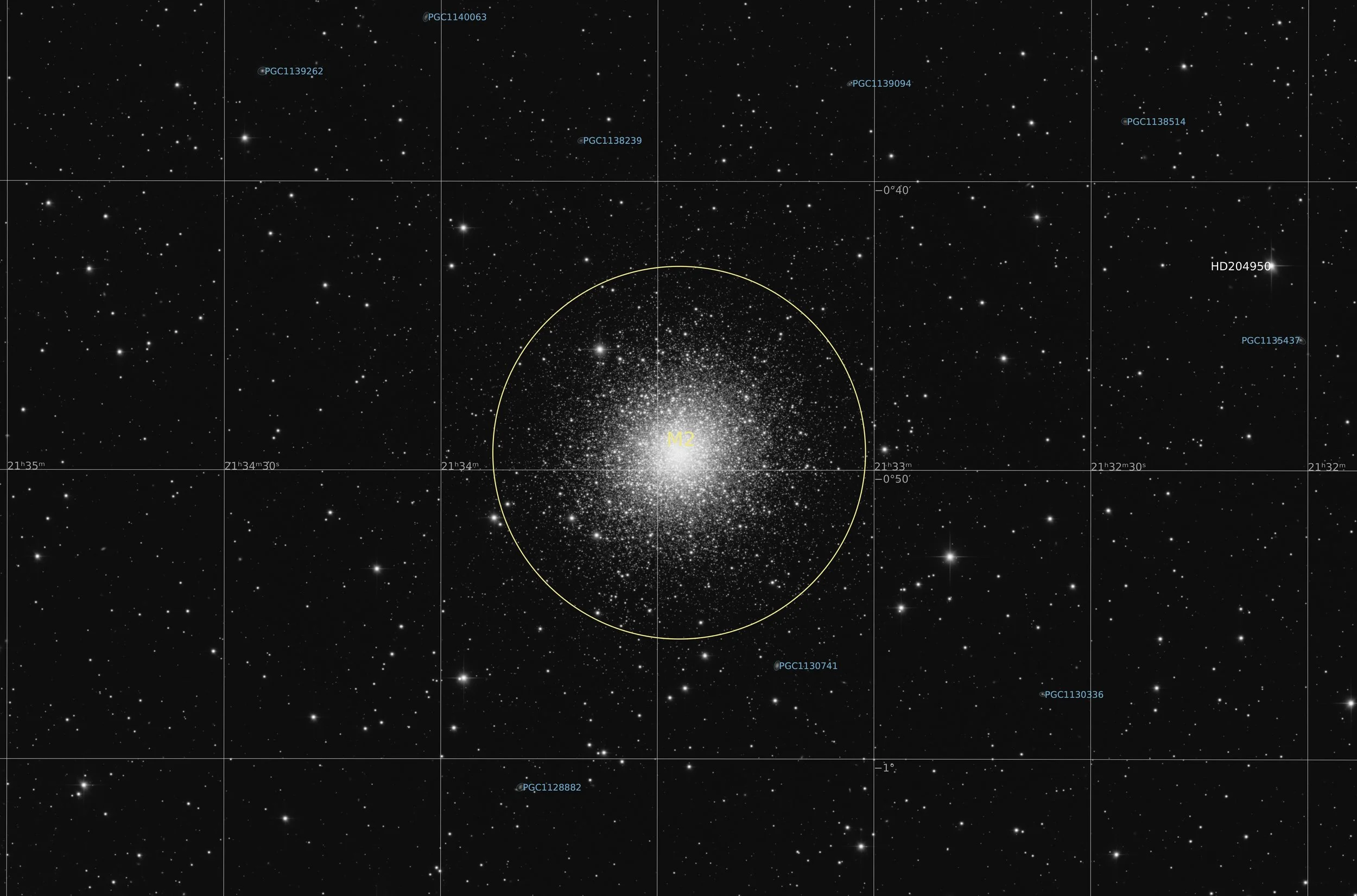 Annotated Image