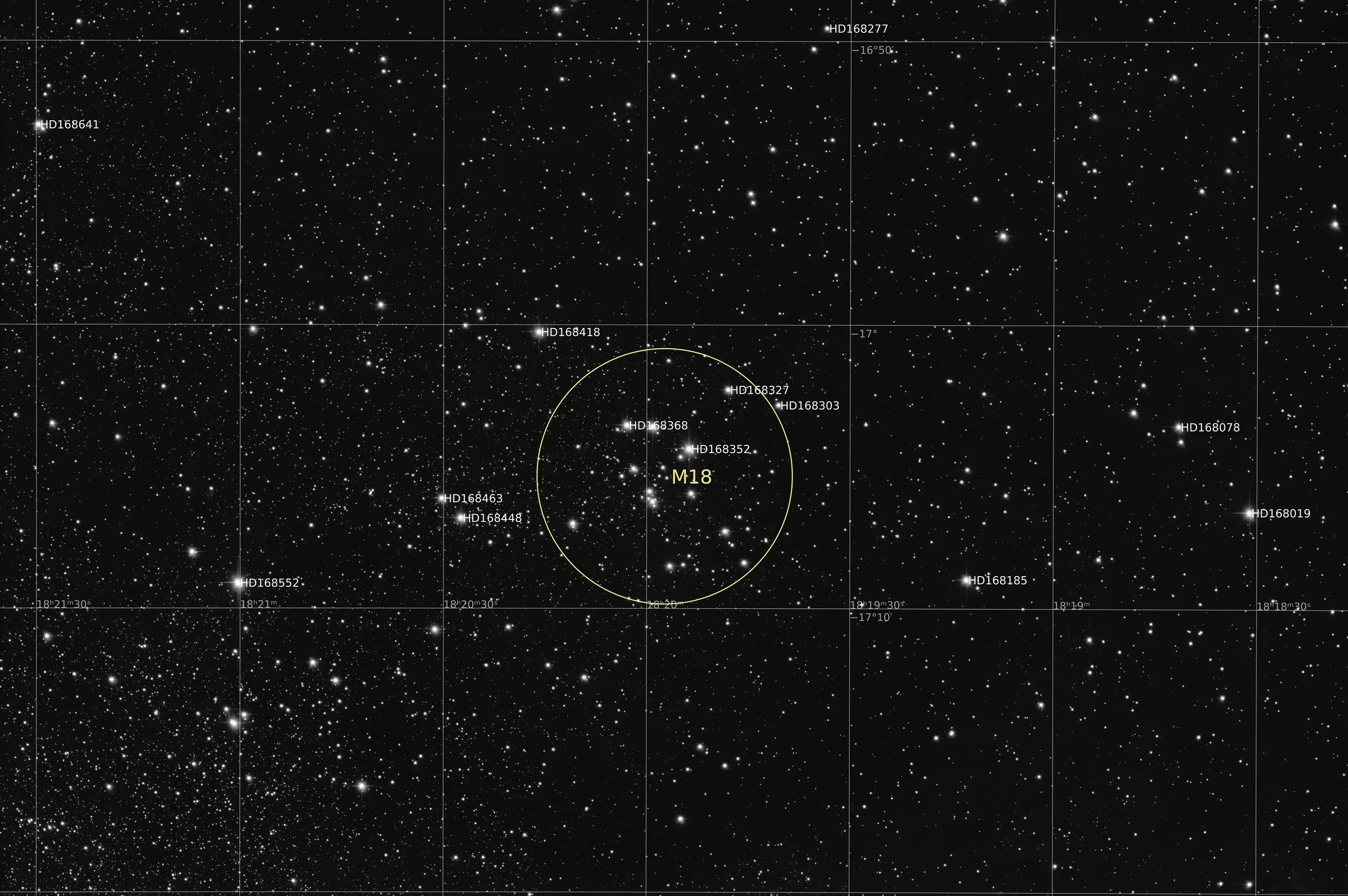 Annotated Image
