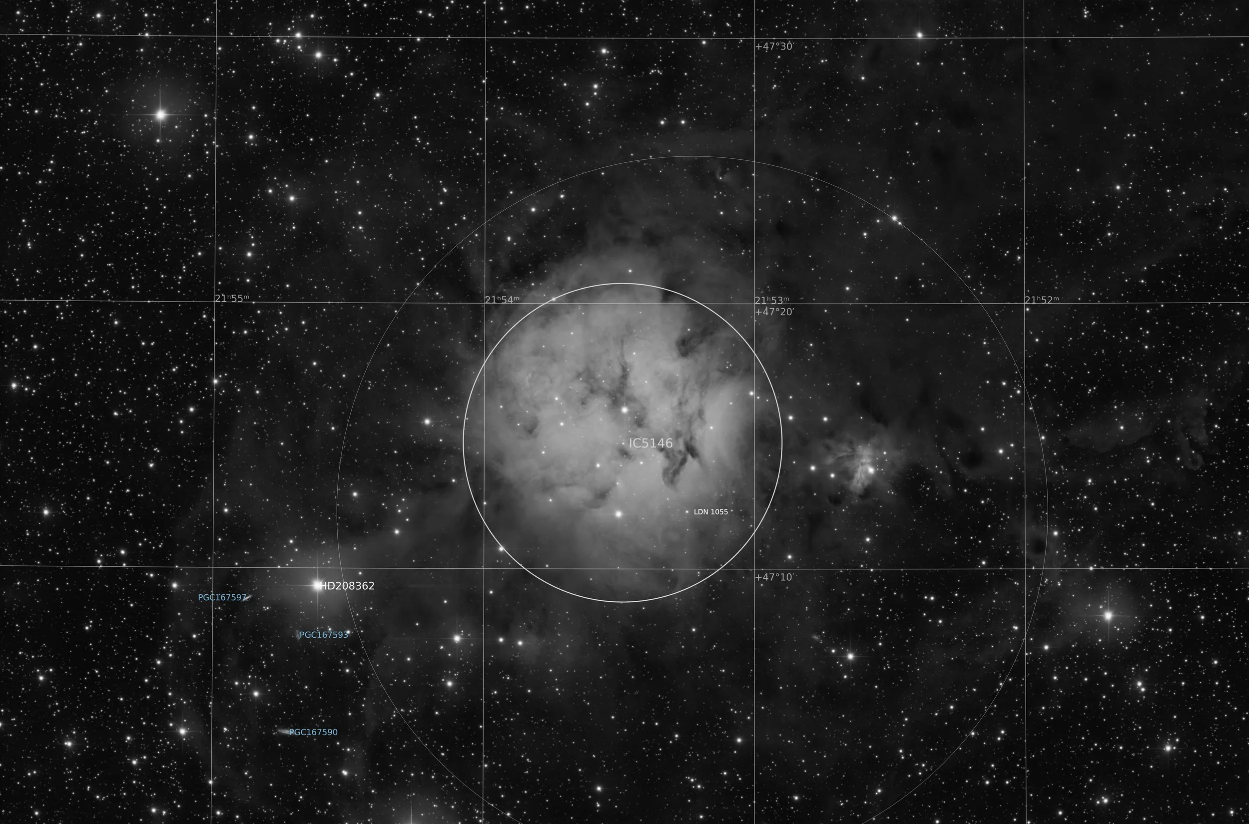 Annotated Image