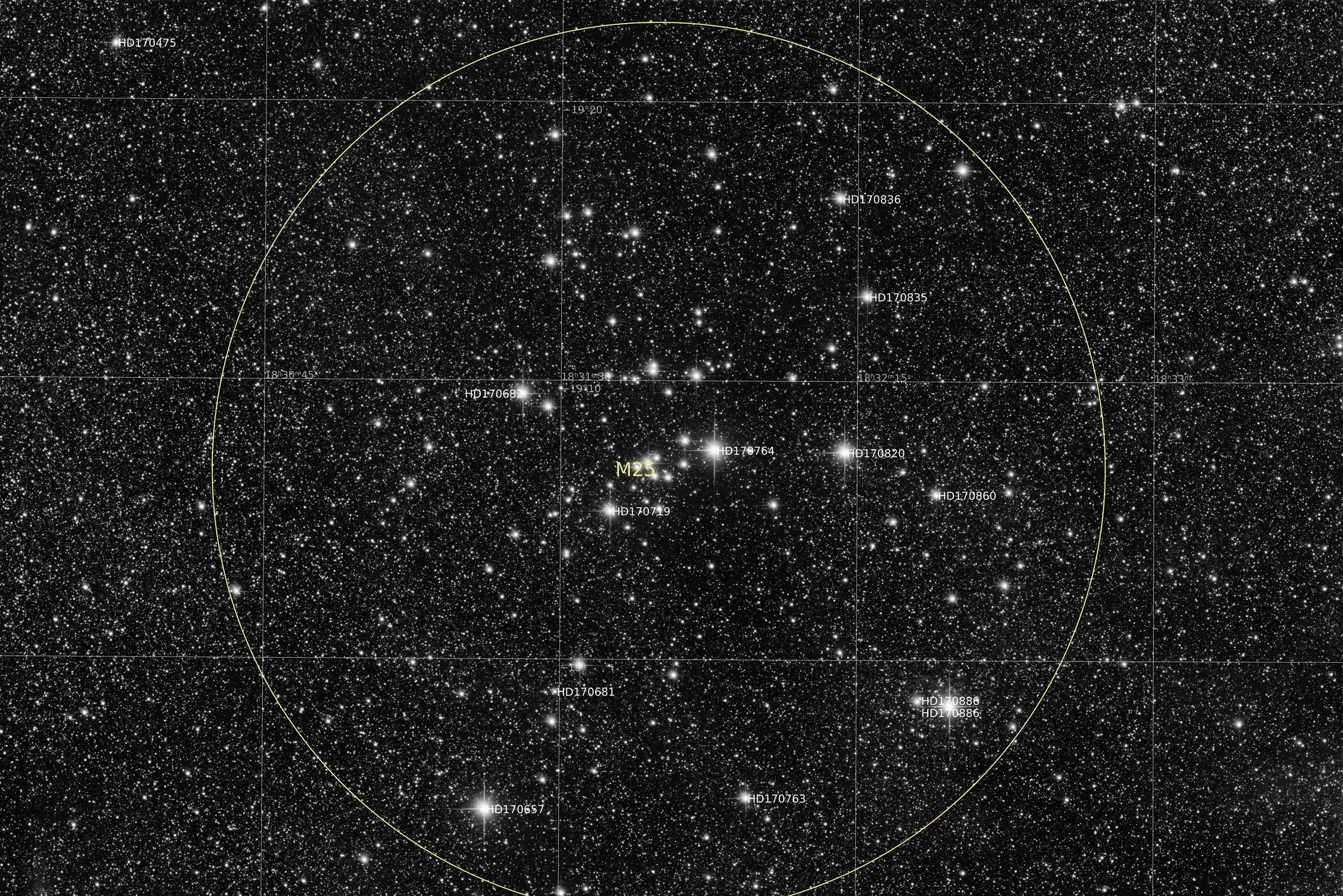 Annotated Image