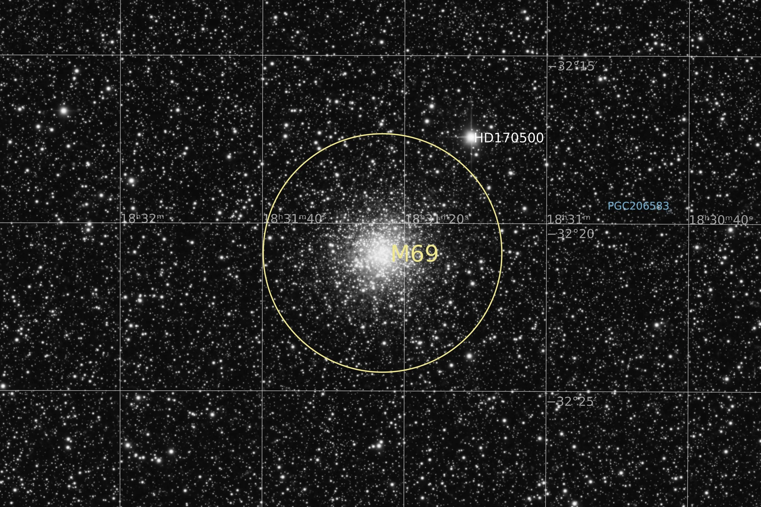 Annotated Image