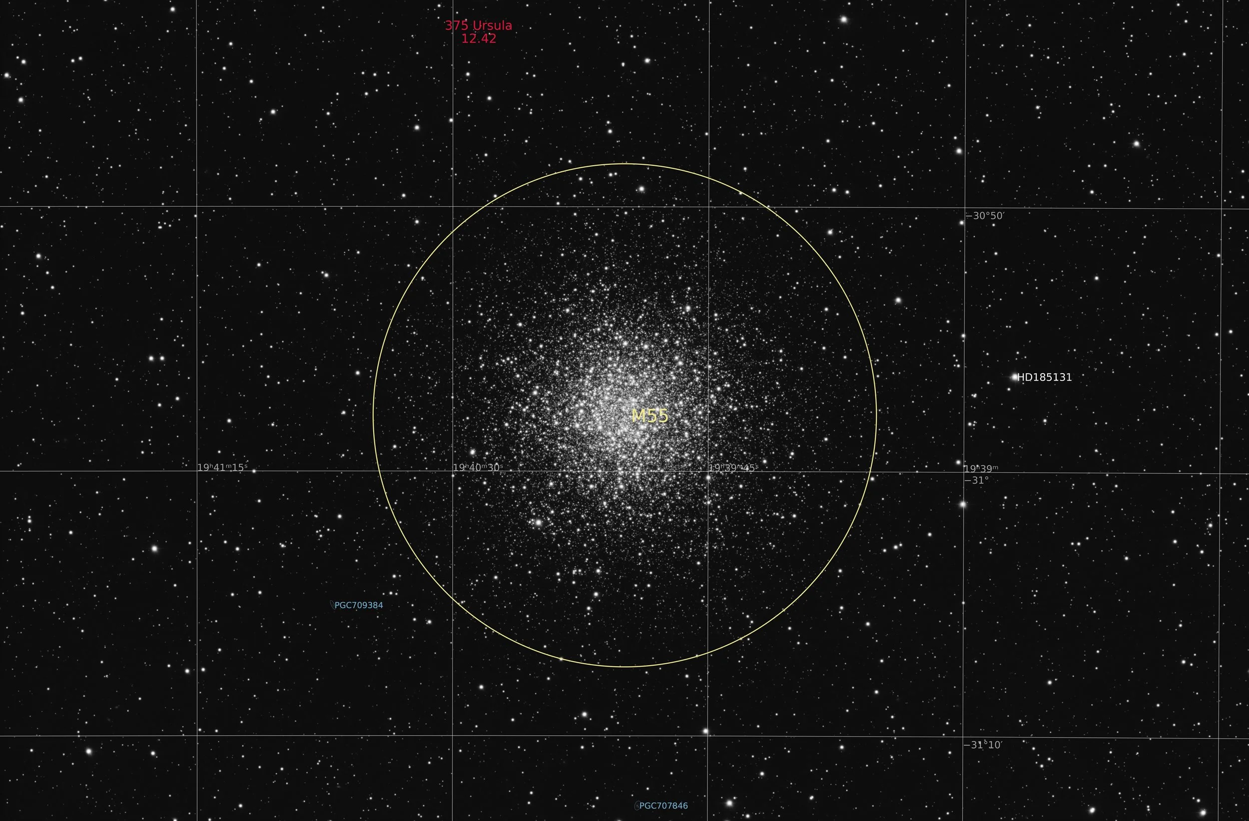 Annotated Image