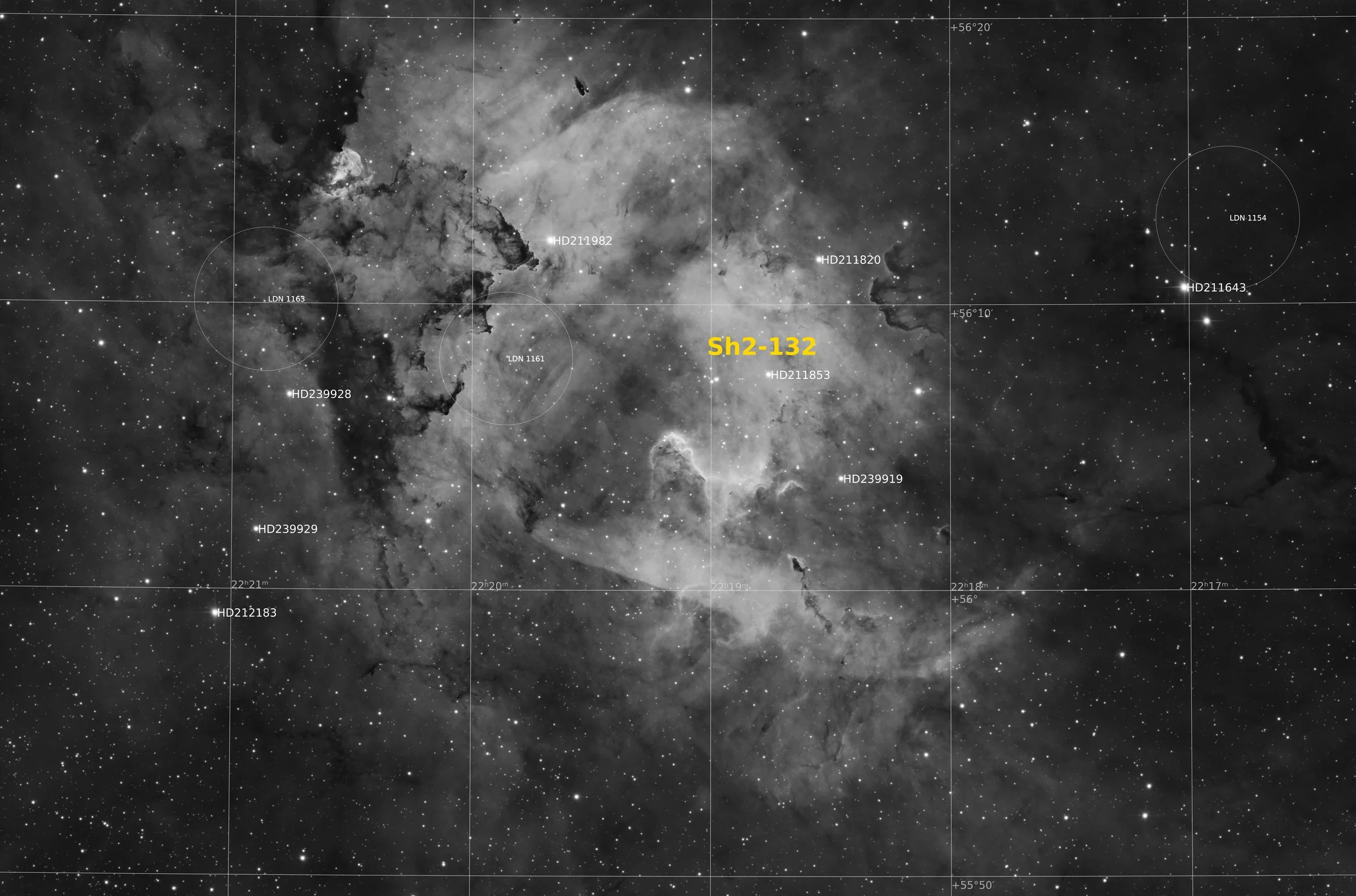  Annotated Image 