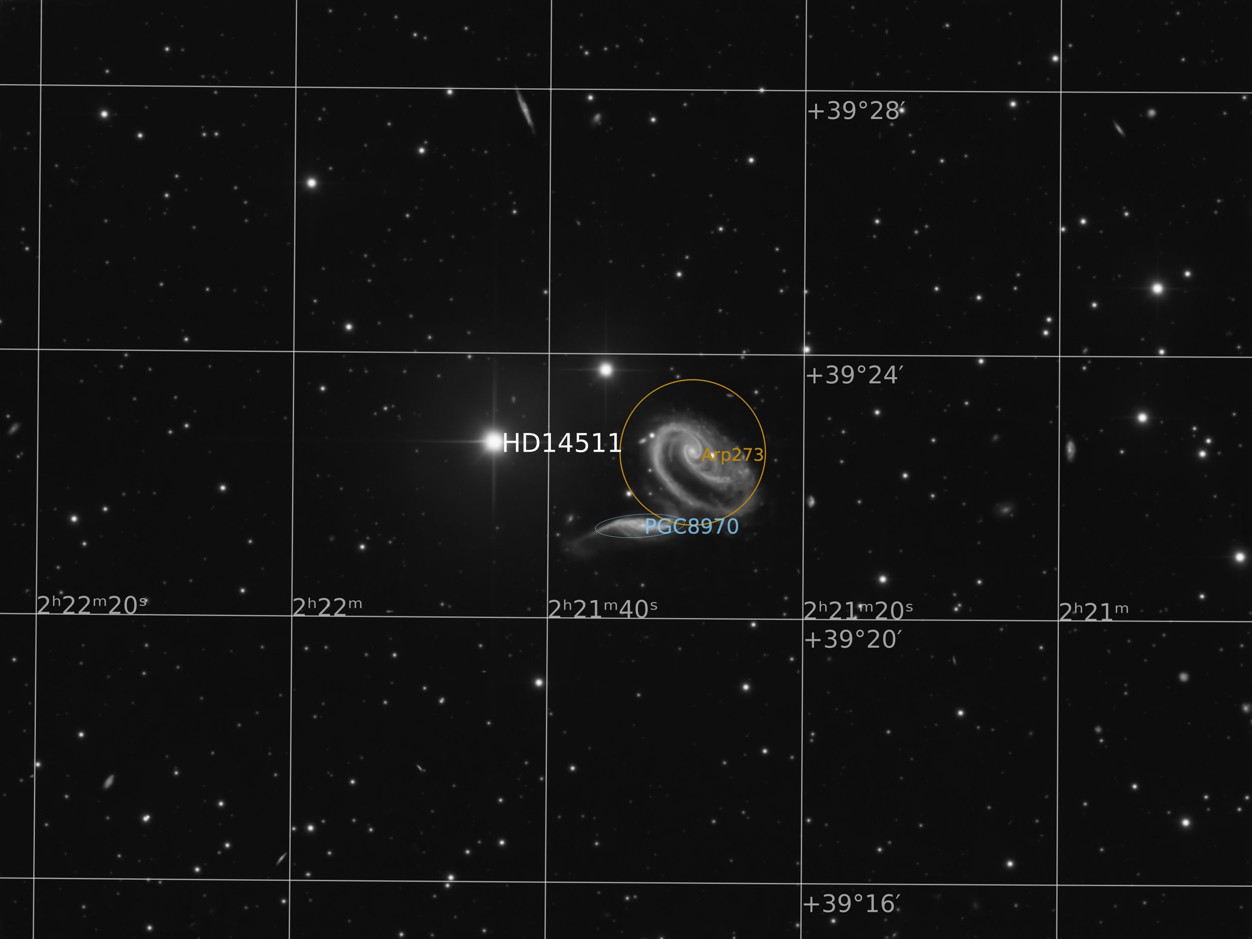  Annotated Image 