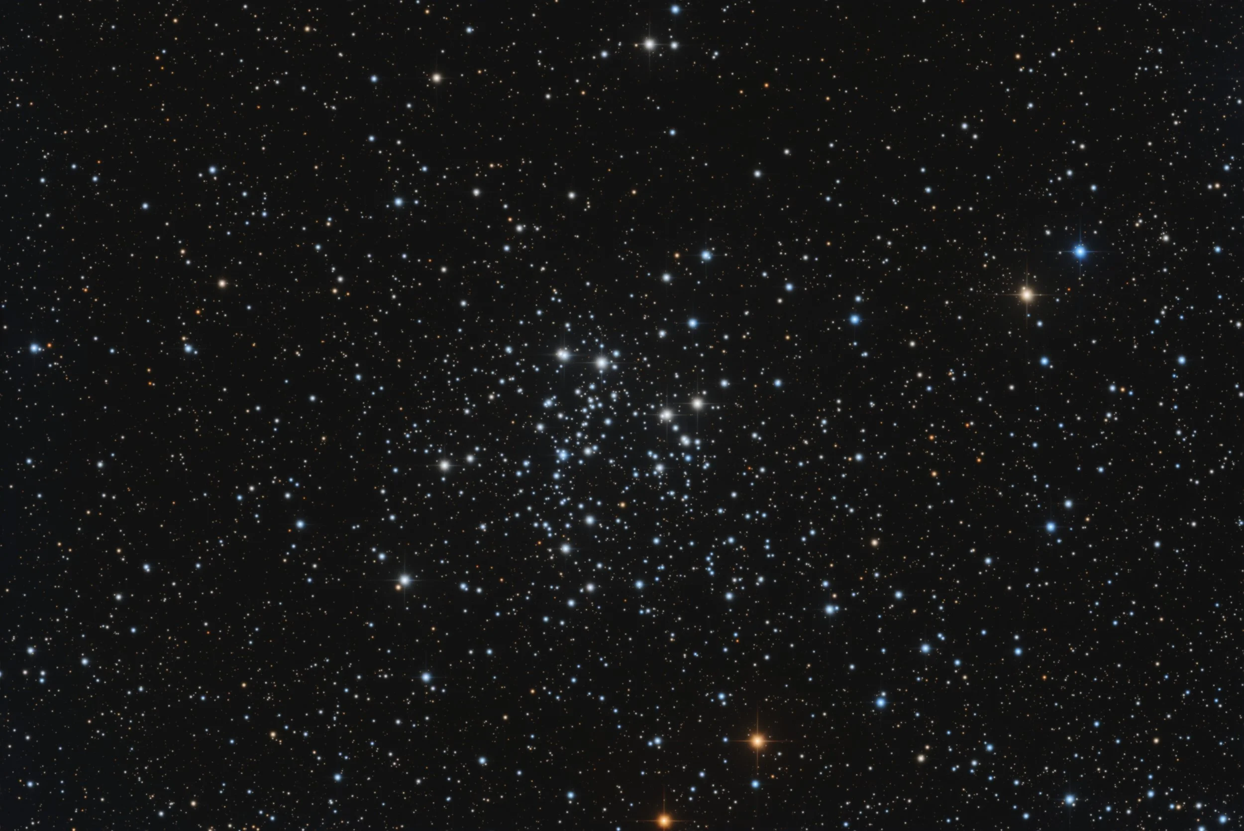C10 - Image.jpg