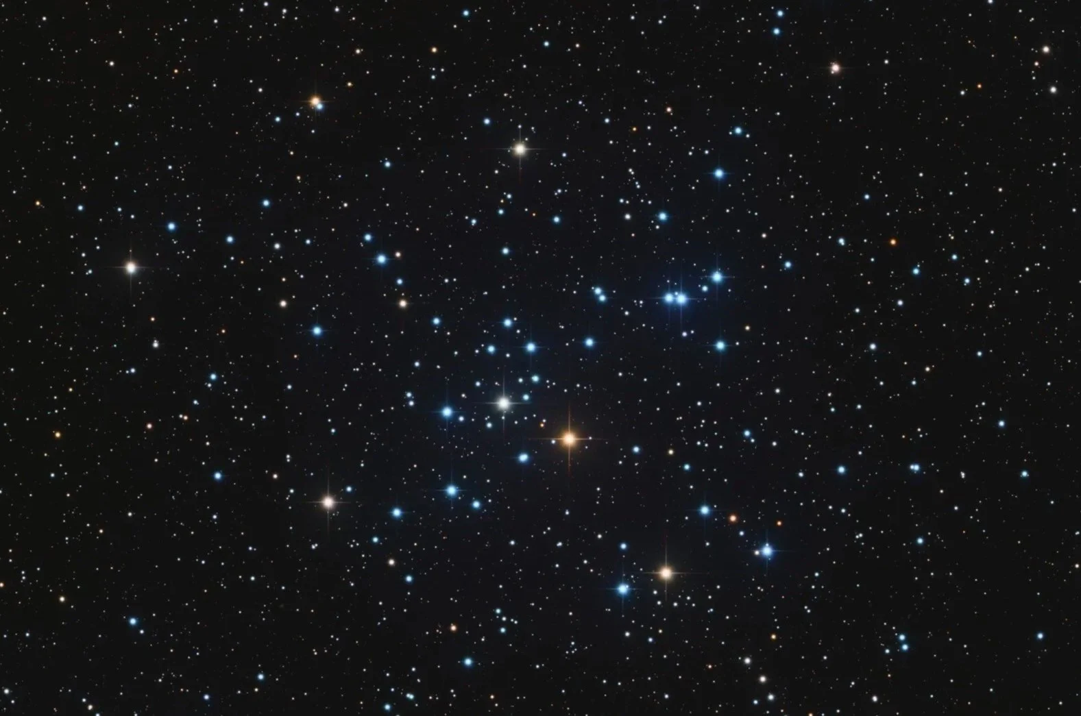 M41