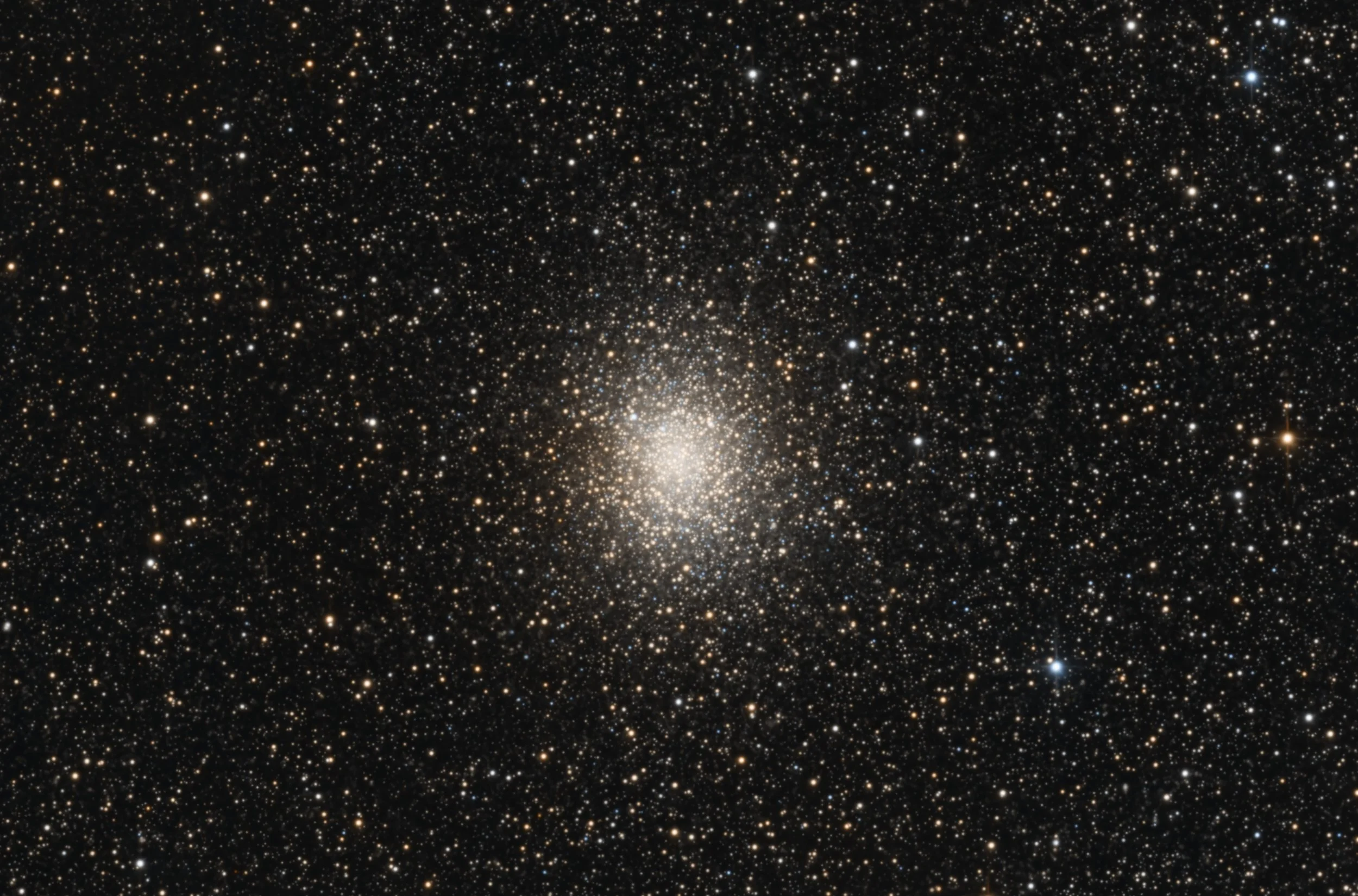 M19 - Image.jpg