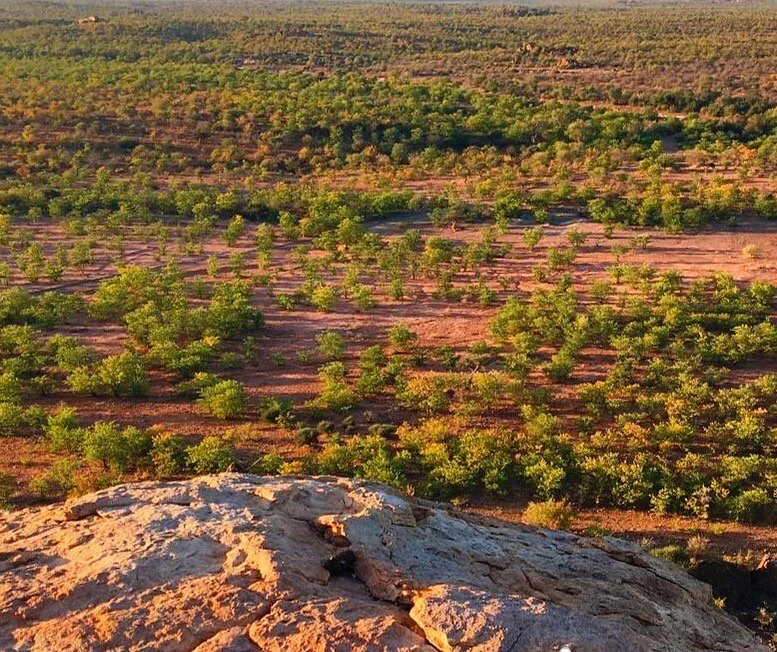 We live in a pretty majestic landscape here in Beitbridge in southern Zimbabwe! 

And here @rangelandsregeneration we&rsquo;re all about restoring and protecting this rangelands habitat so people and nature can thrive together.

Healthy rangelands ha