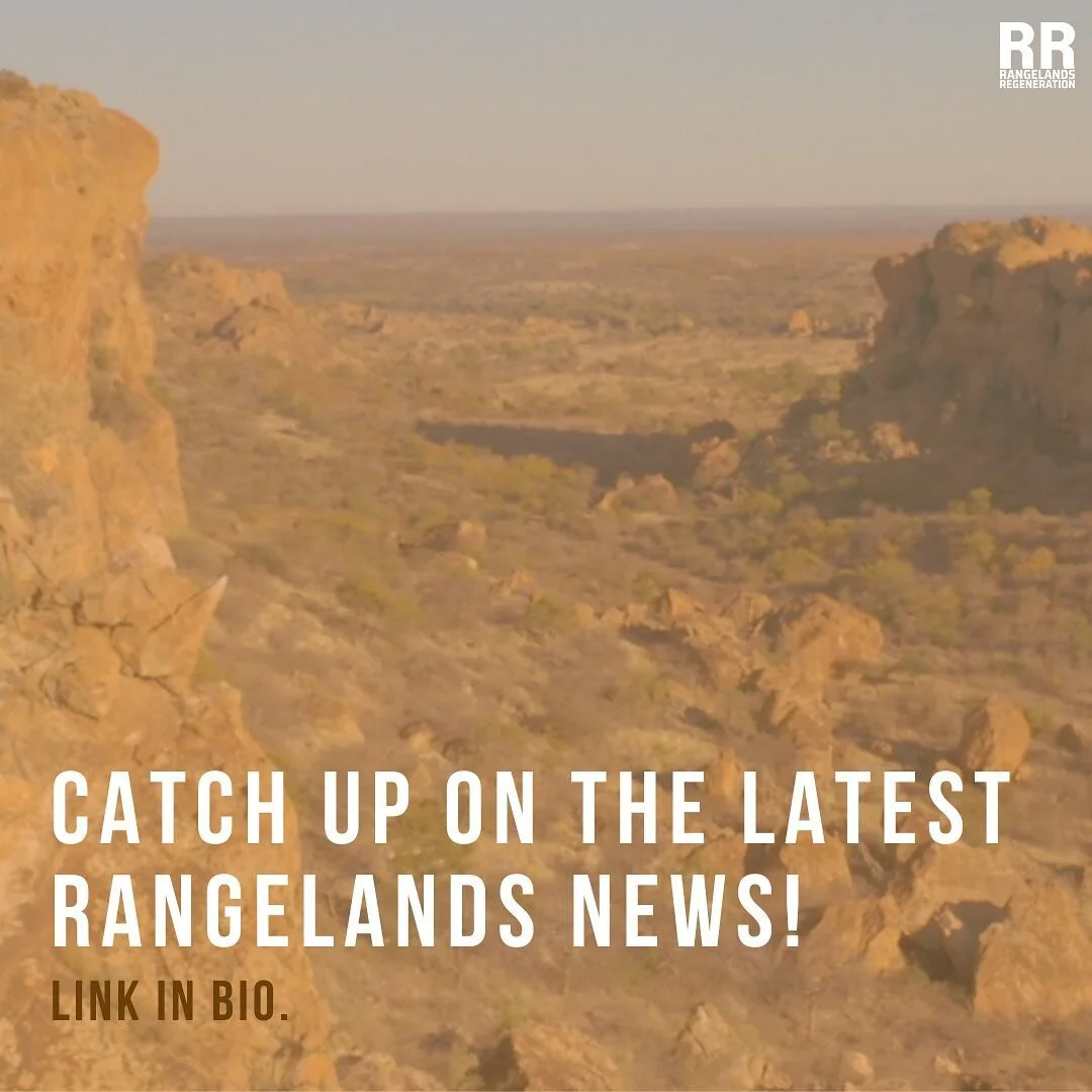 Check out the latest rangelands newsletter 🗞🌱 Find out how we're working to regenerate rangelands, developing the livestock value chain, fighting fires (literally!), growing our team, and much more! 

Click on the 'newsletter' link in bio to read o