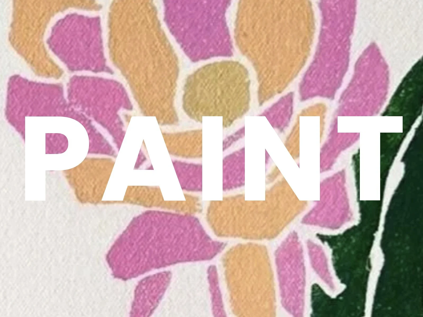 PAINT_box_4x3_v2.jpg