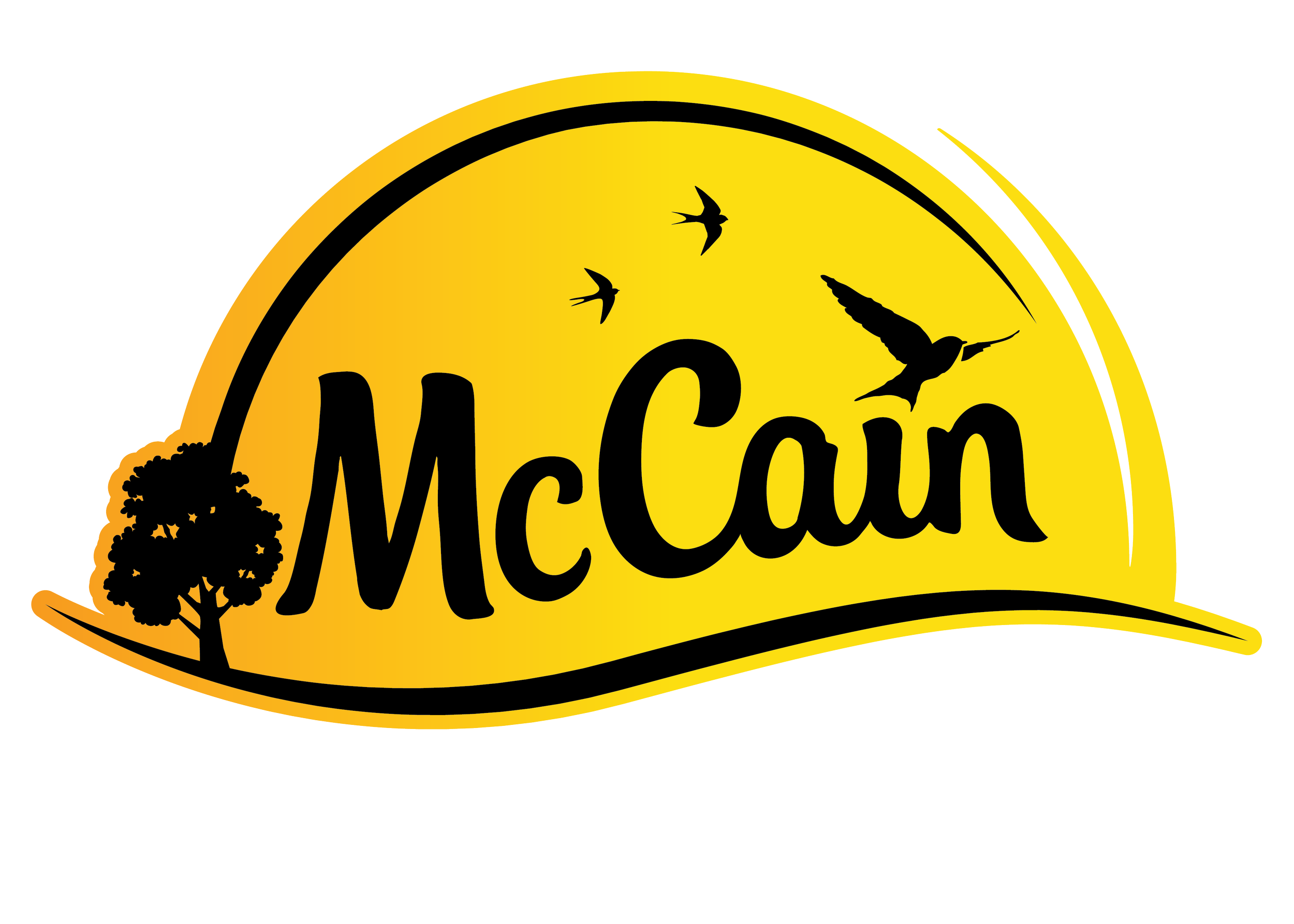 Logo for McCain brand.