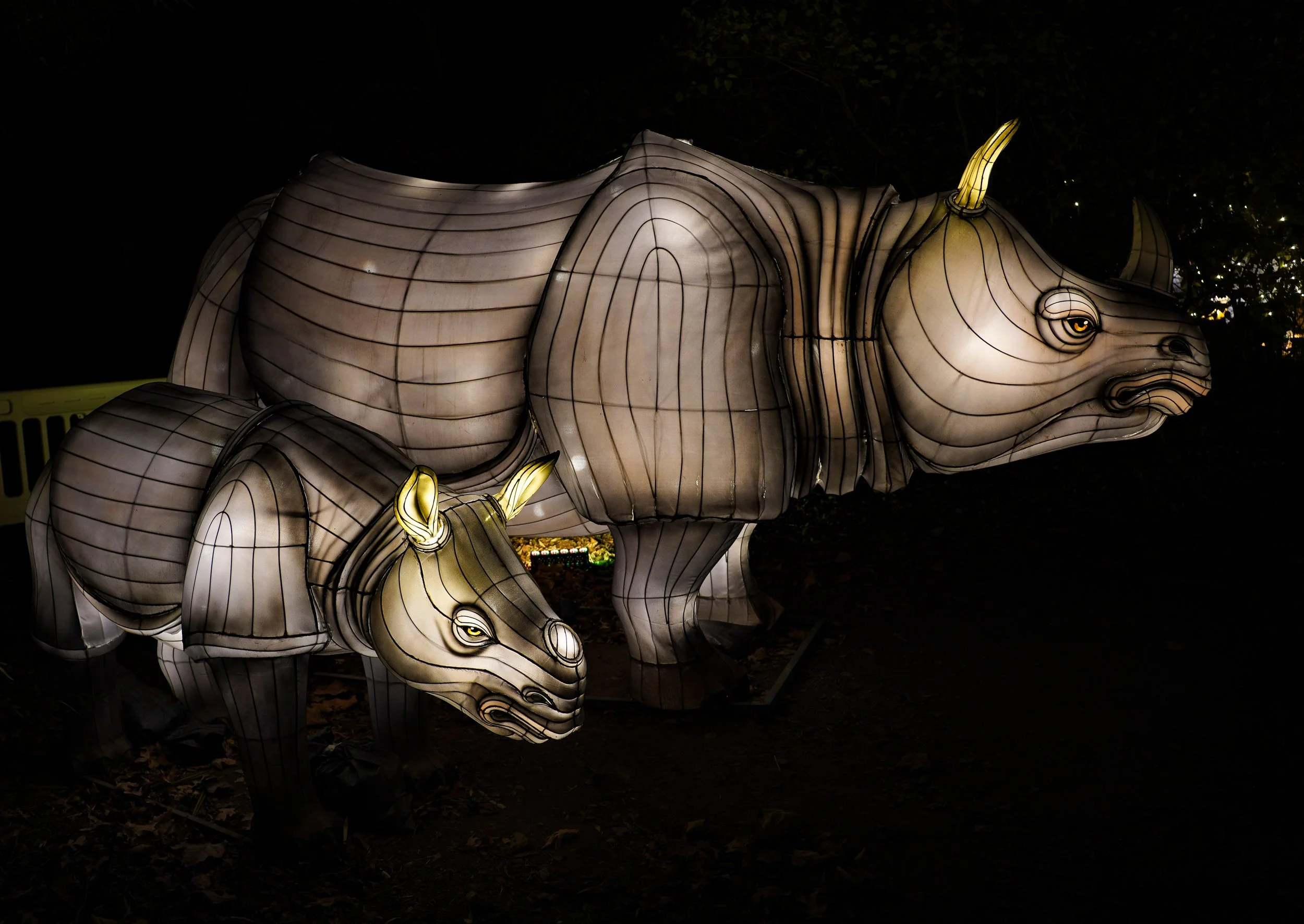 PSX_20221127_173419.jpg