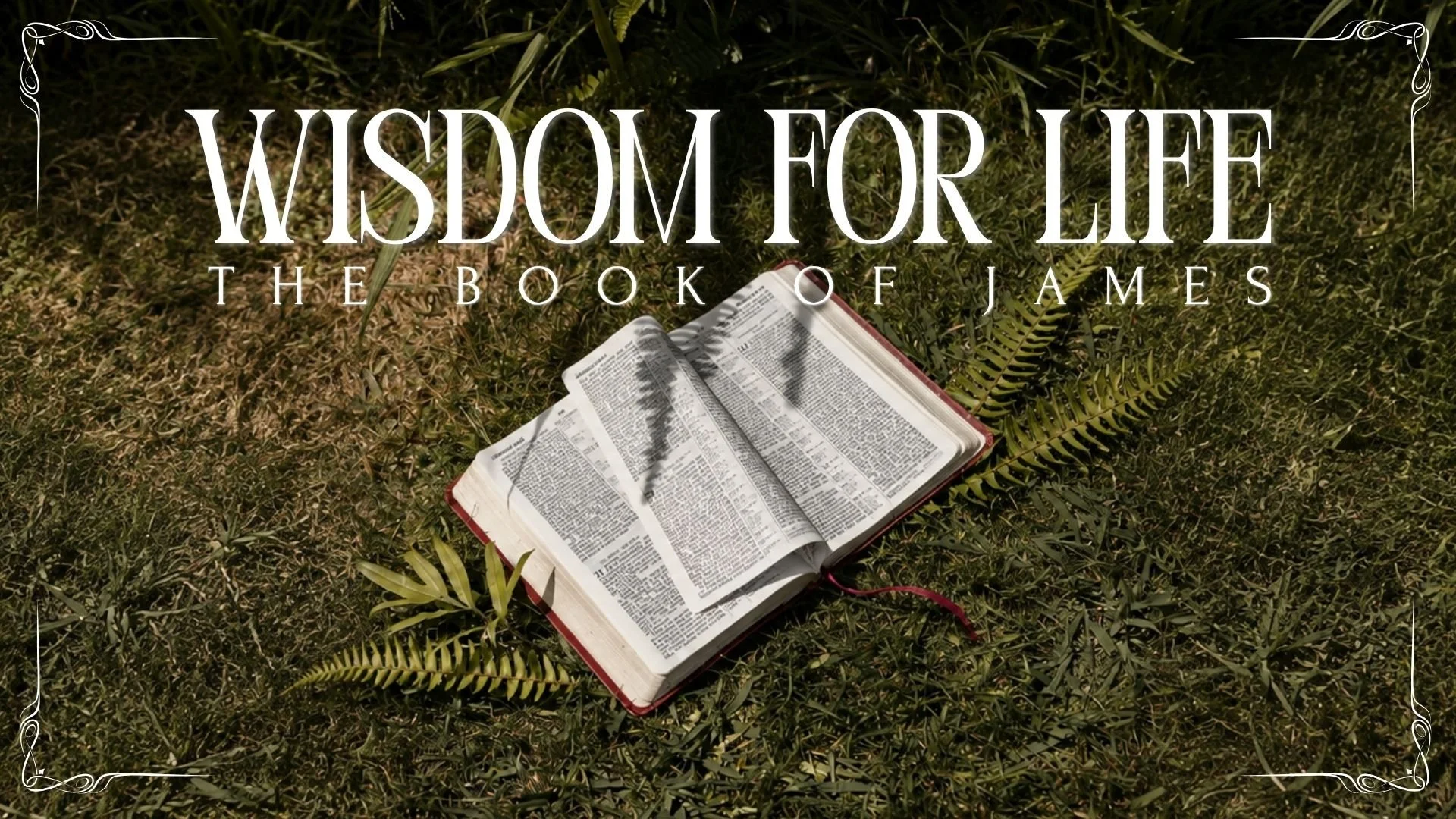 Sunday 30th August | Taming the Tongue | Book of James Week 3 | Andrew Dishroon