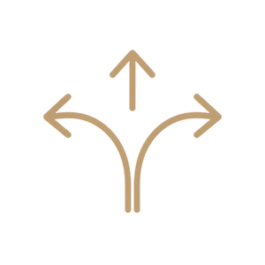 Life Transition treatment icon — person at crossroads with directional arrows symbol