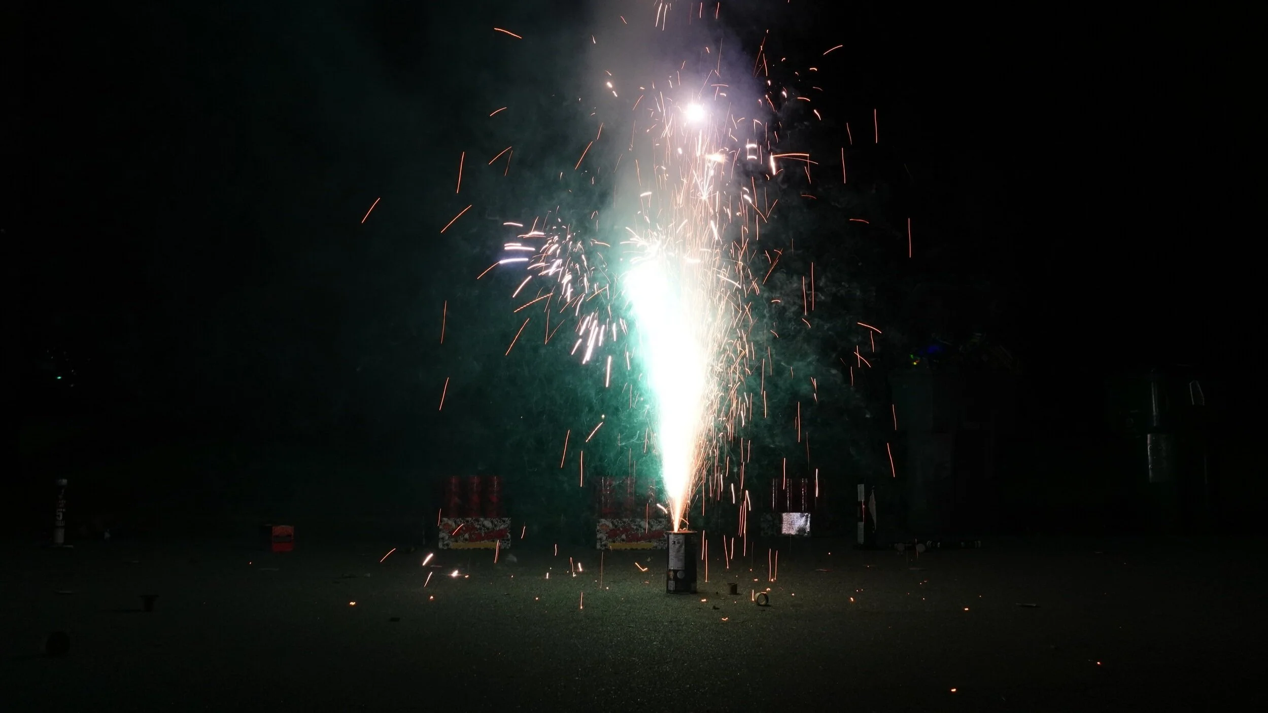 DSC02393.jpg
