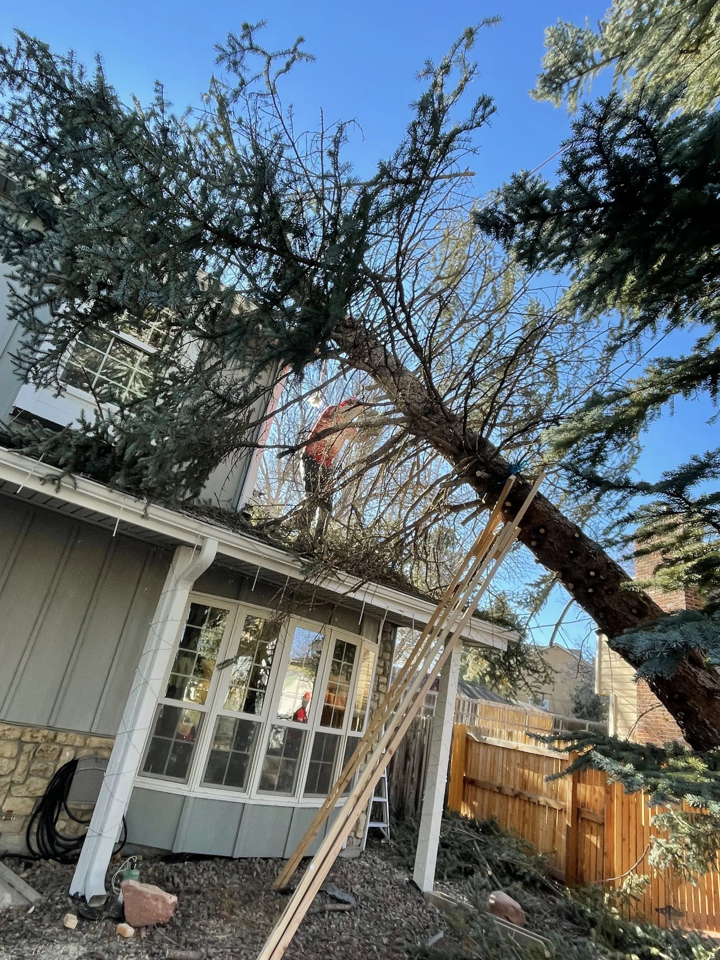 Climbers Choice Tree Care