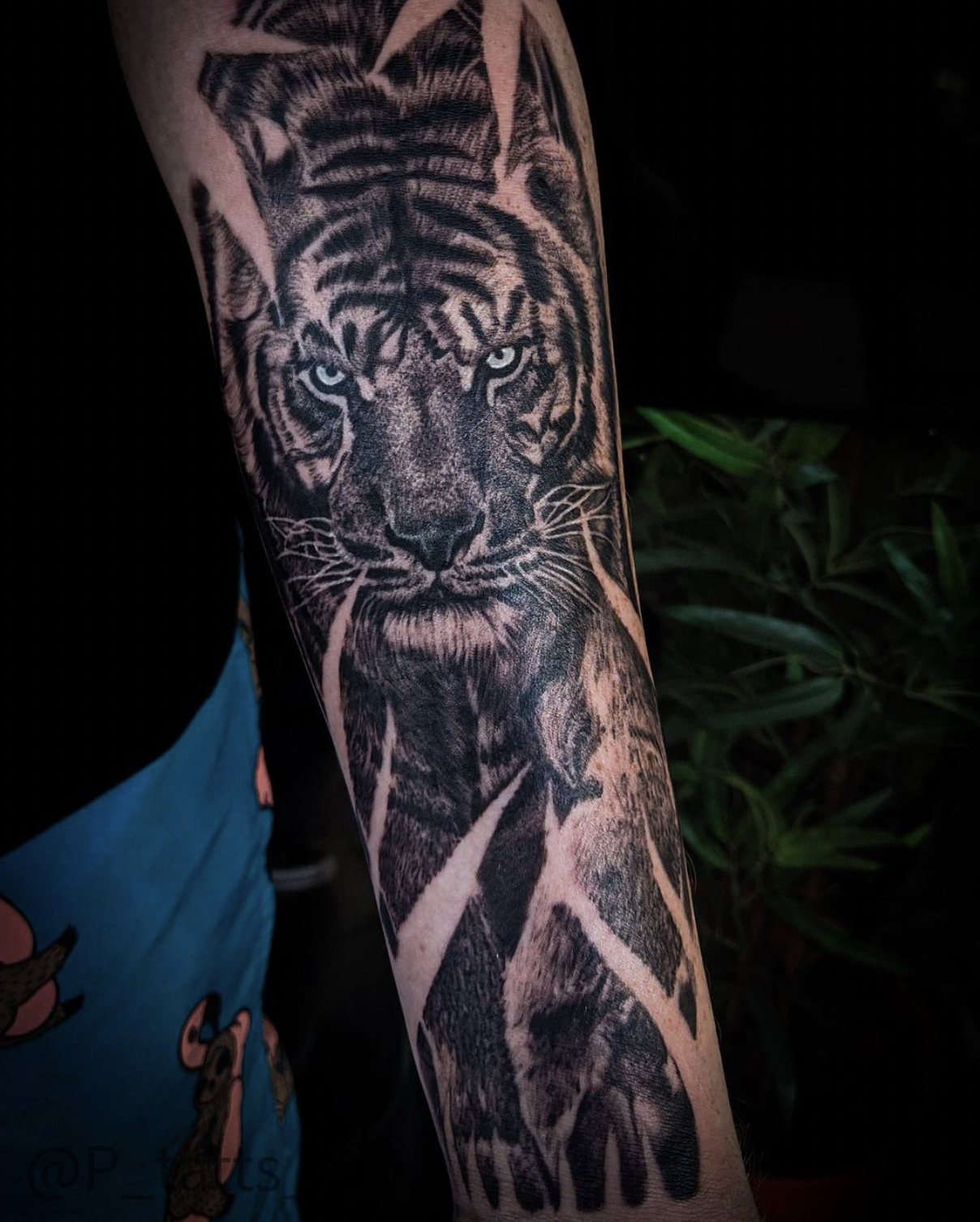 Screen Shot 2023-08-03 at 1.12.57 pm.png