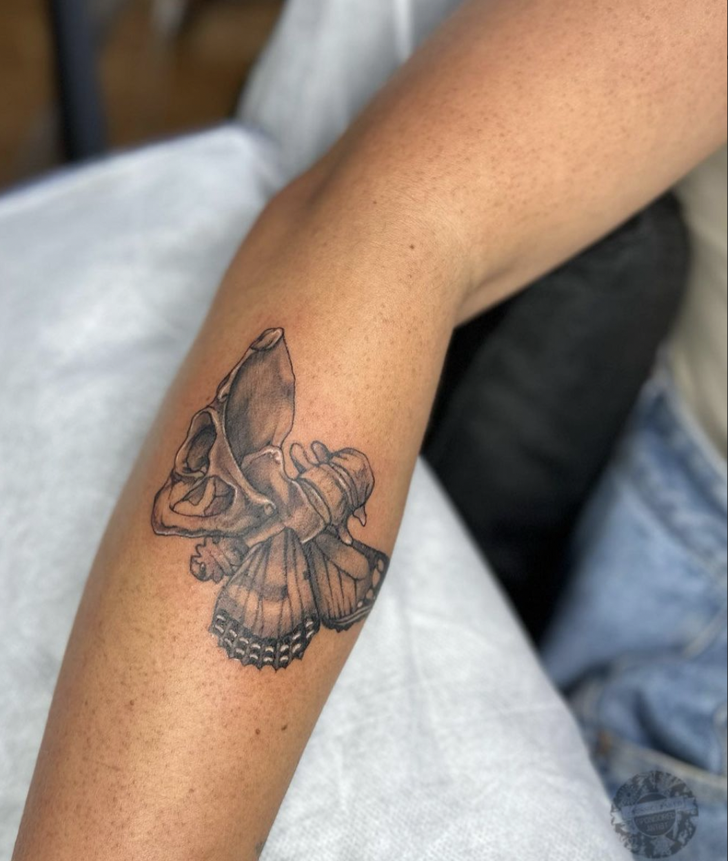 Screen Shot 2023-07-04 at 5.49.17 pm.png