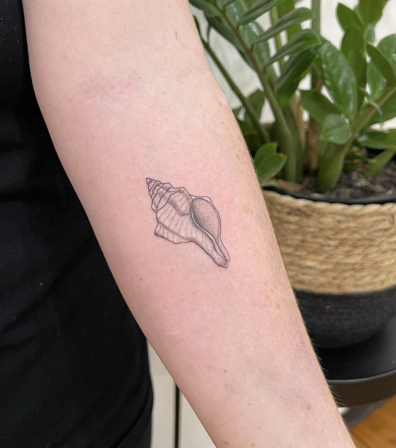 Screen Shot 2023-07-04 at 6.30.52 pm.png