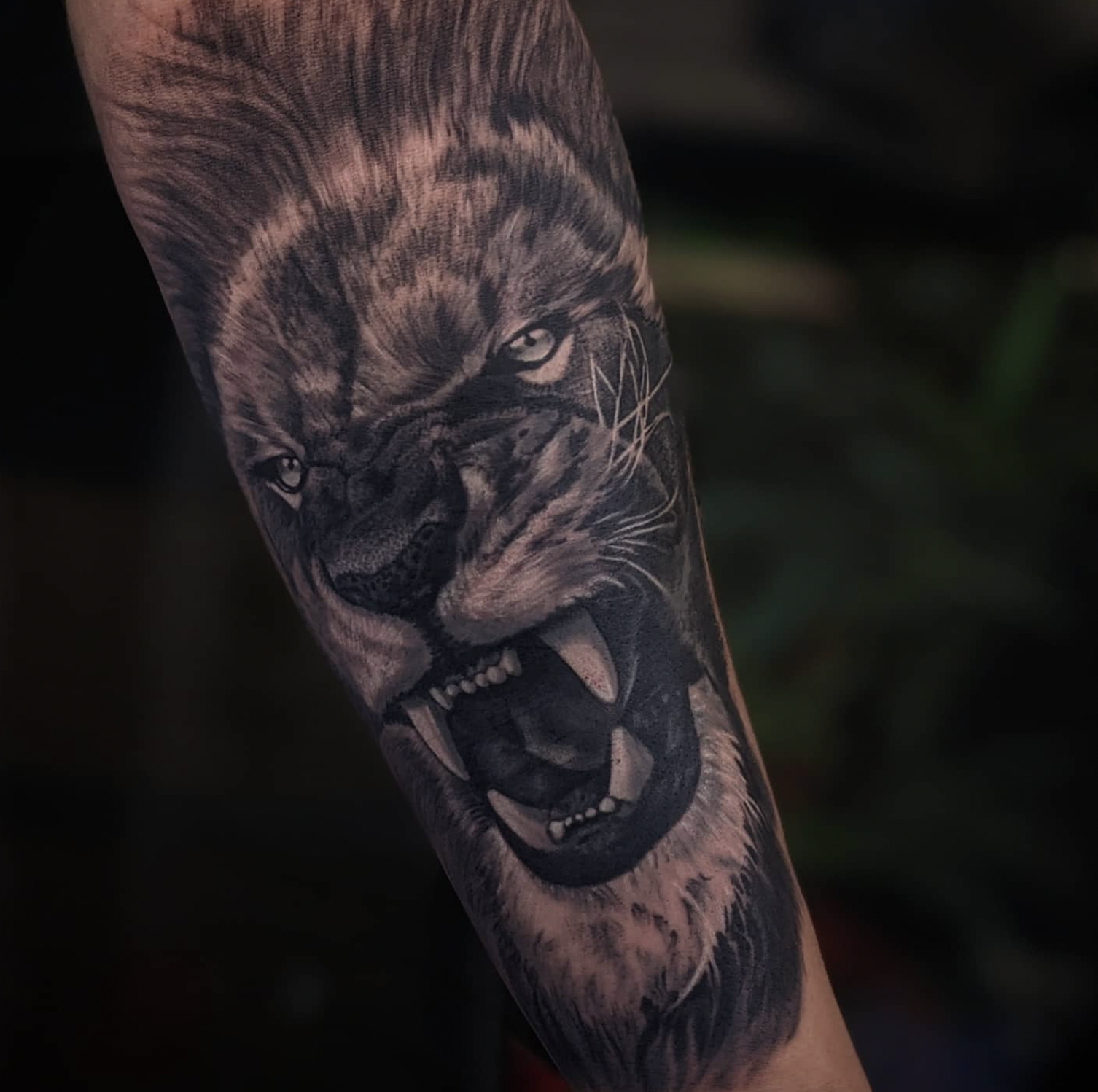 Screen Shot 2023-08-03 at 1.11.13 pm.png