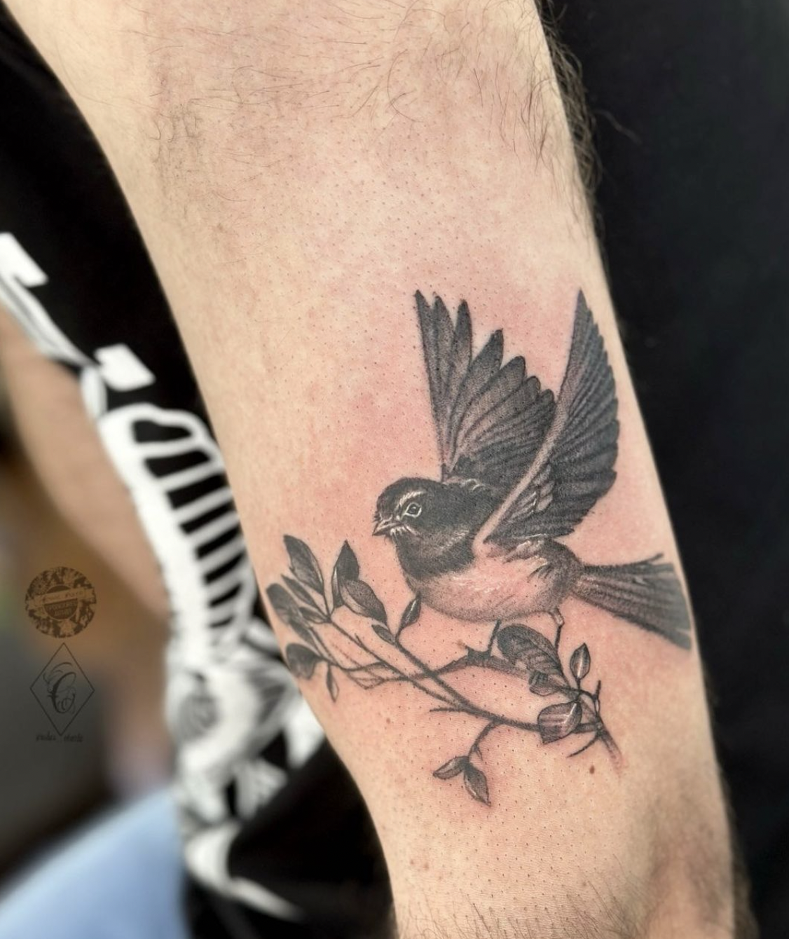 Screen Shot 2023-07-04 at 5.47.42 pm.png