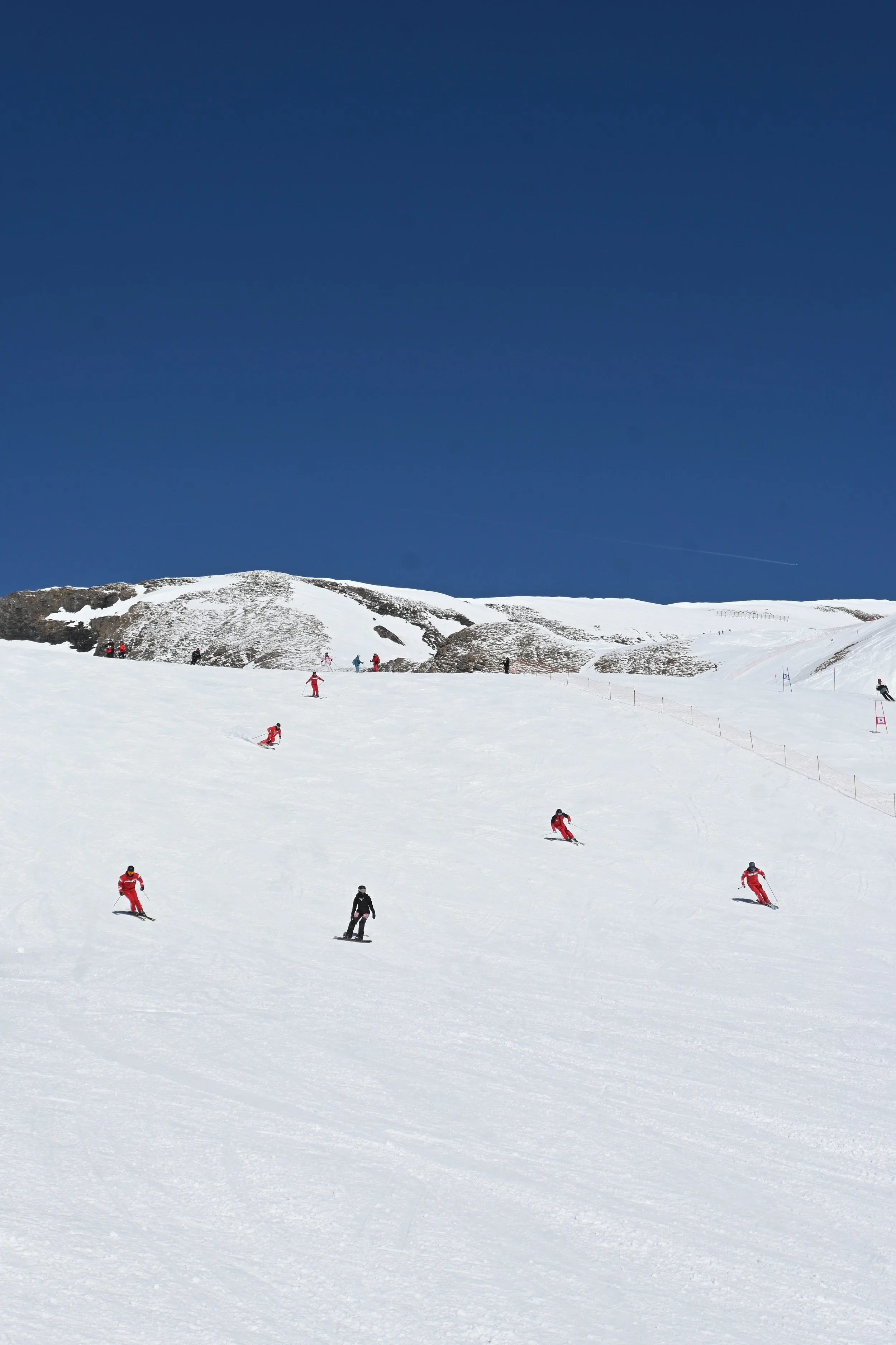 Swiss Skiing (2026)