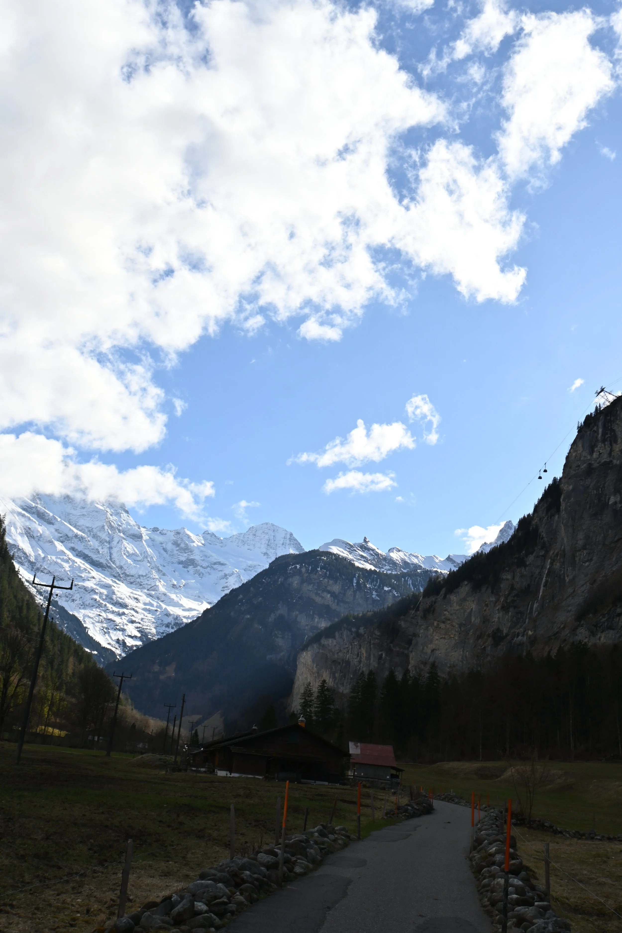 DSC_7376.JPG