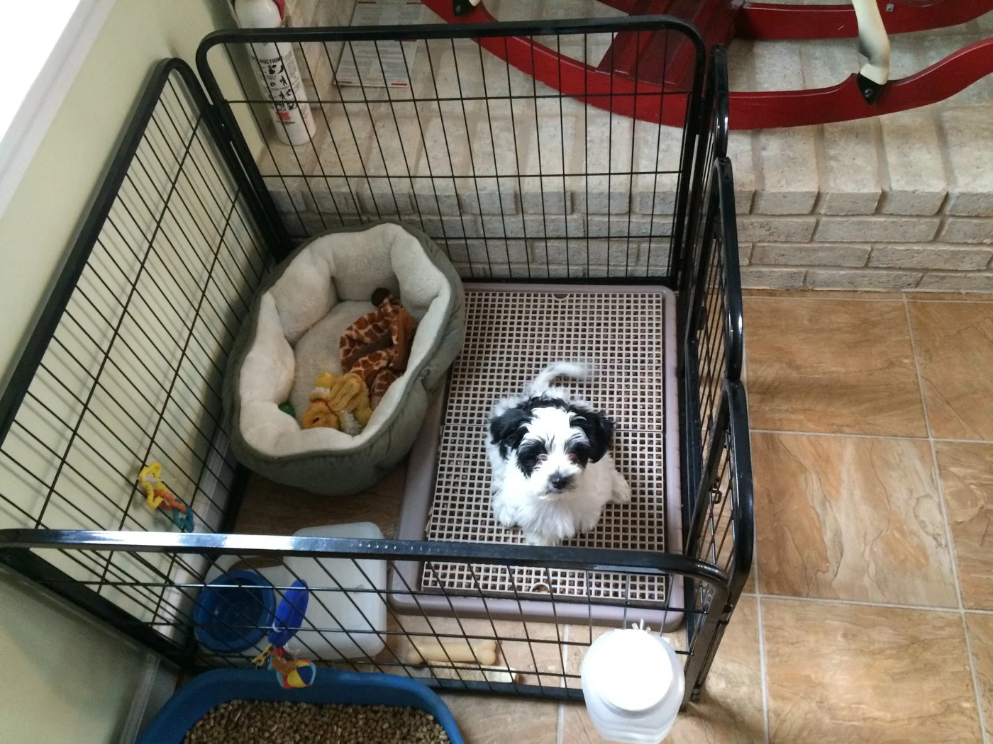 Crate Training Right Size Crate For Puppy Modular And Sturdy Dog