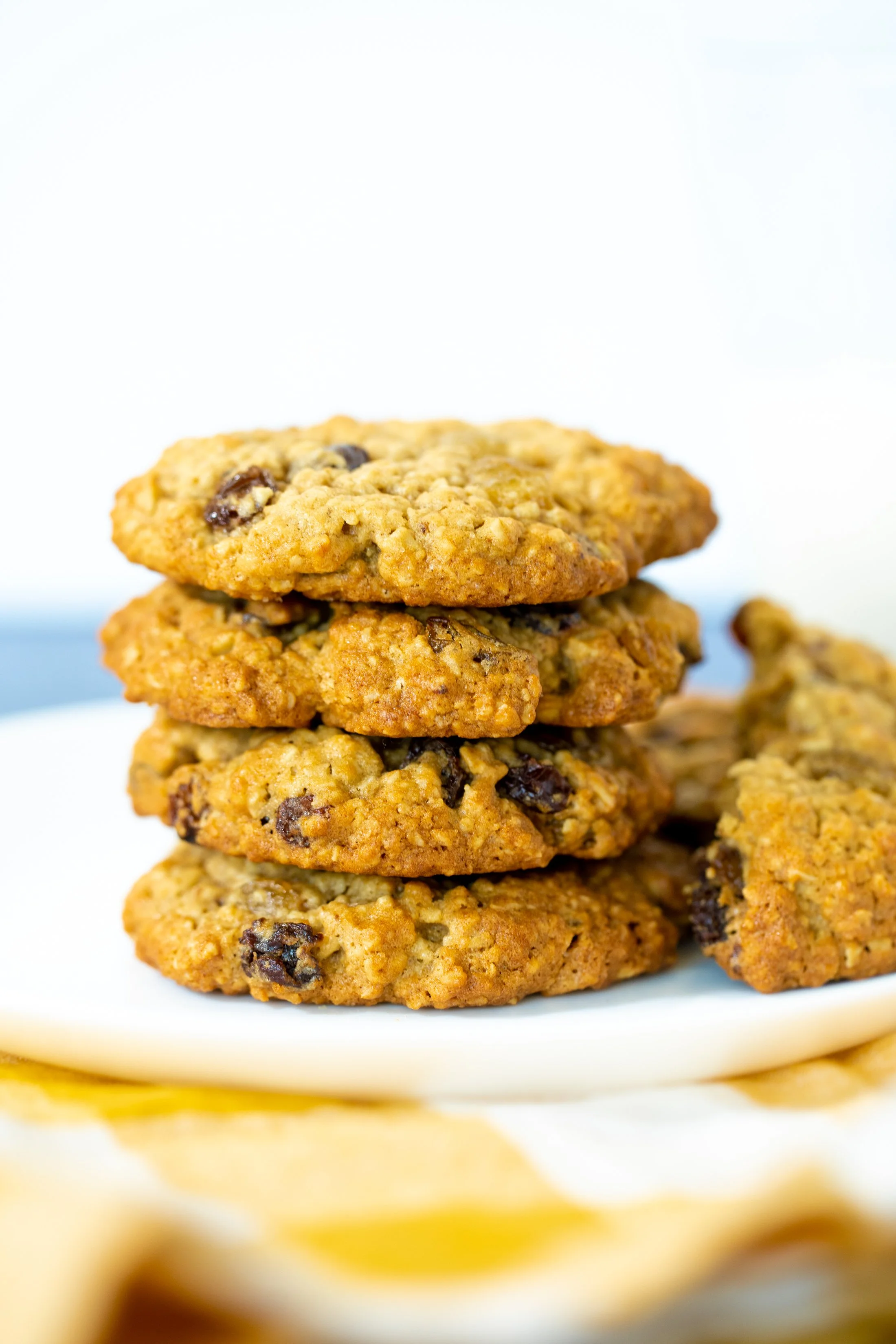 Oatmeal Rum Raisin