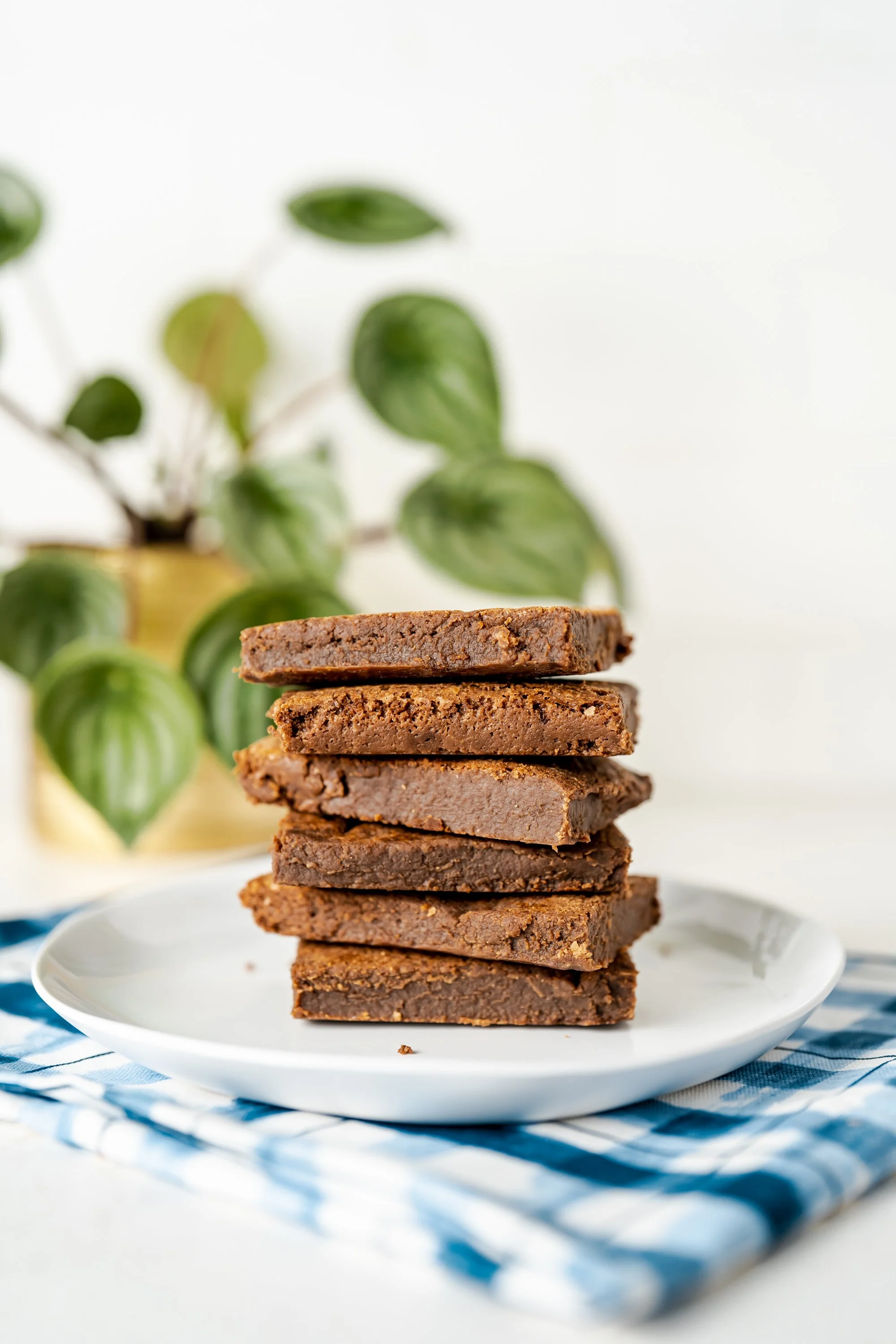 A white plate holding a stack of chocolate peanut butter brownies with a blurred green plant in the background