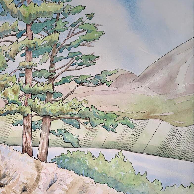 Currently, we have a wildfire to the north, west, south and east of us. Our earth is struggling and this heat wave is pretty intense. I cant stop thinking of the trees and animal inhabitants who are outside in the heat and near those forest fires and