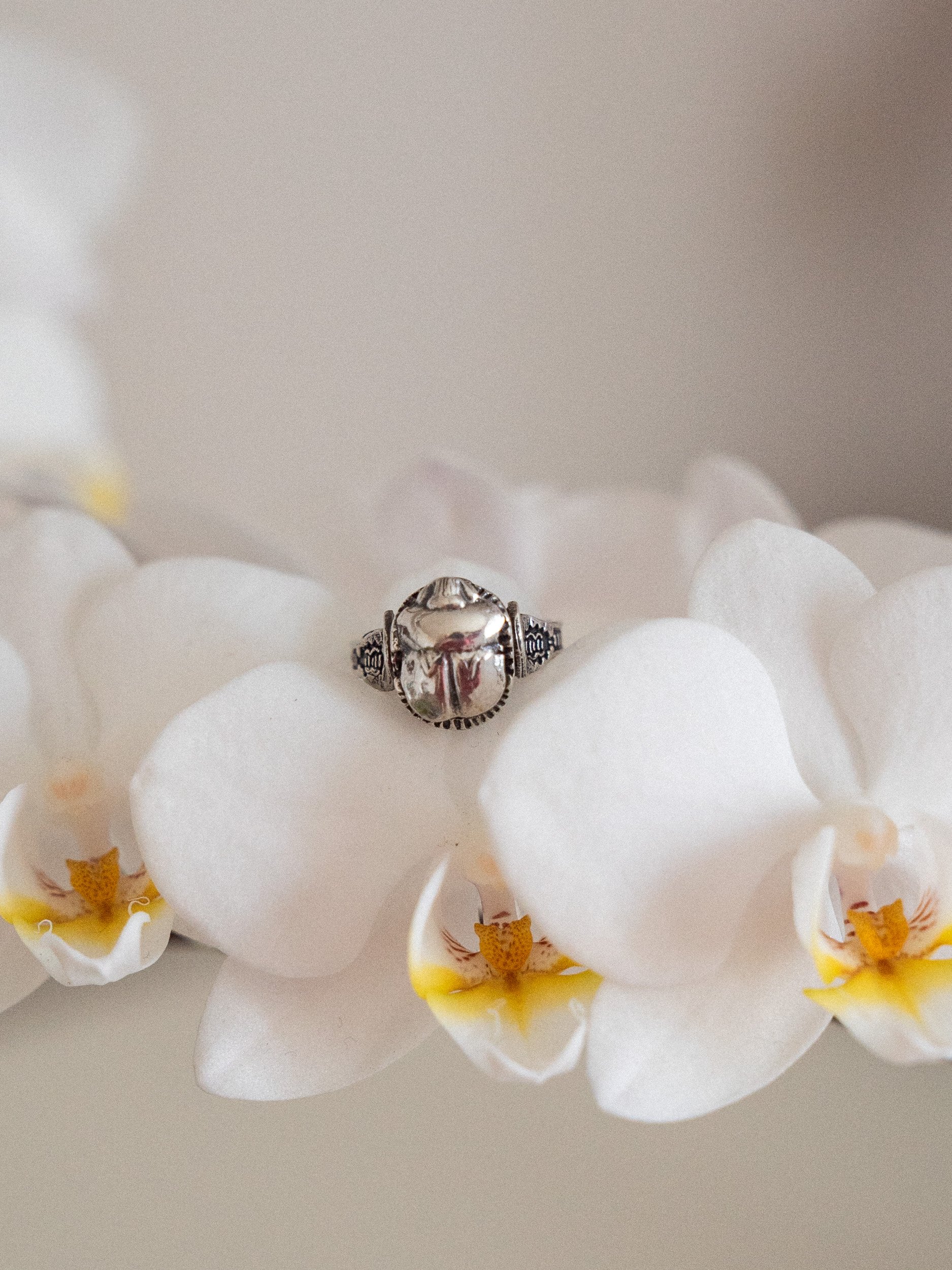 Medium Scarab Ring-5.jpg